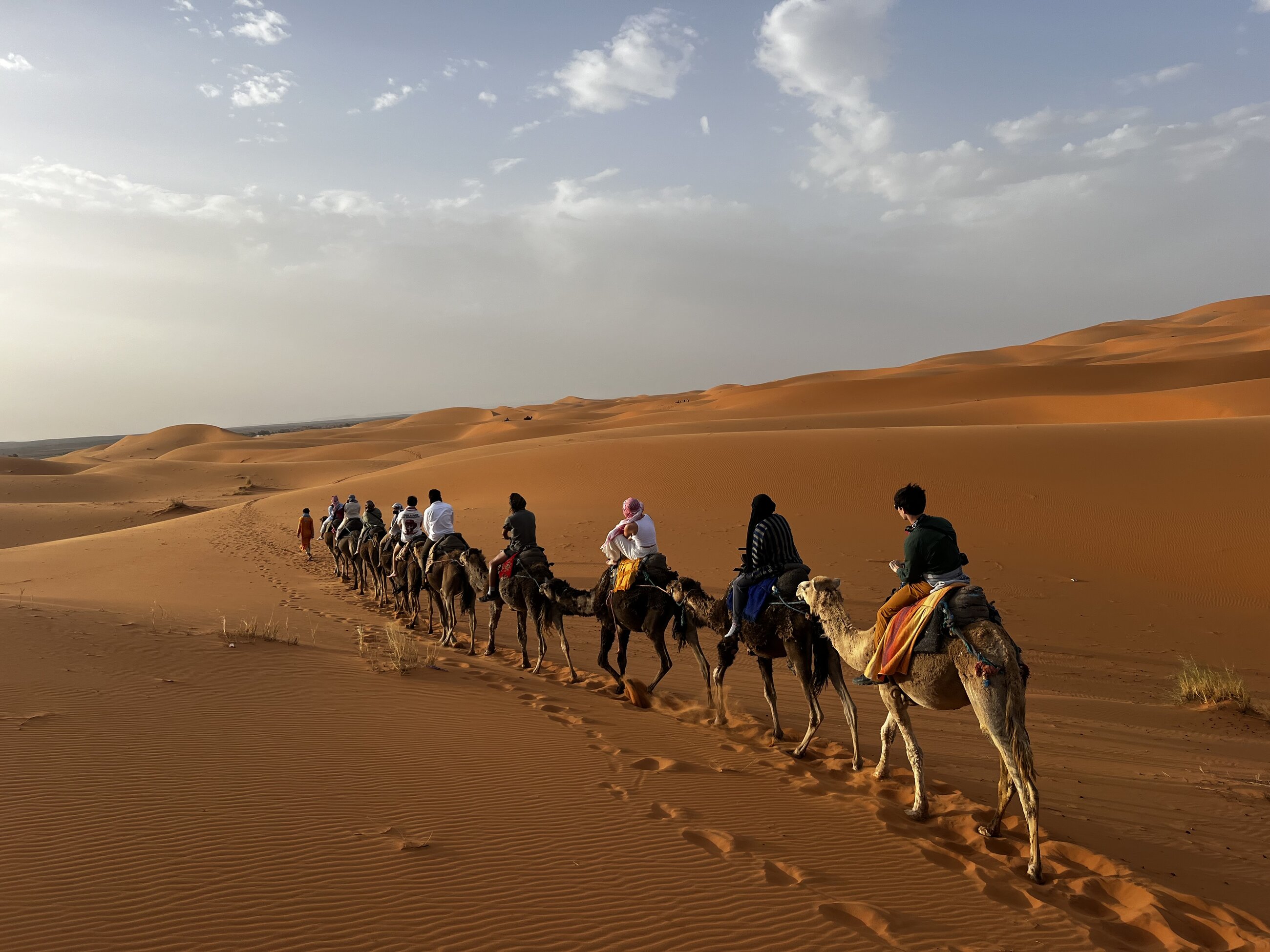 Sahara!