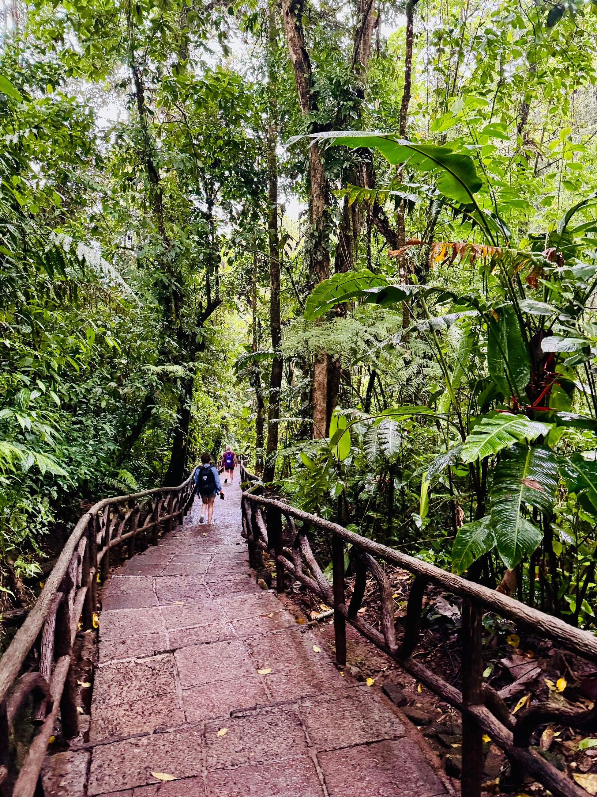 La Paz Waterfall Hike!