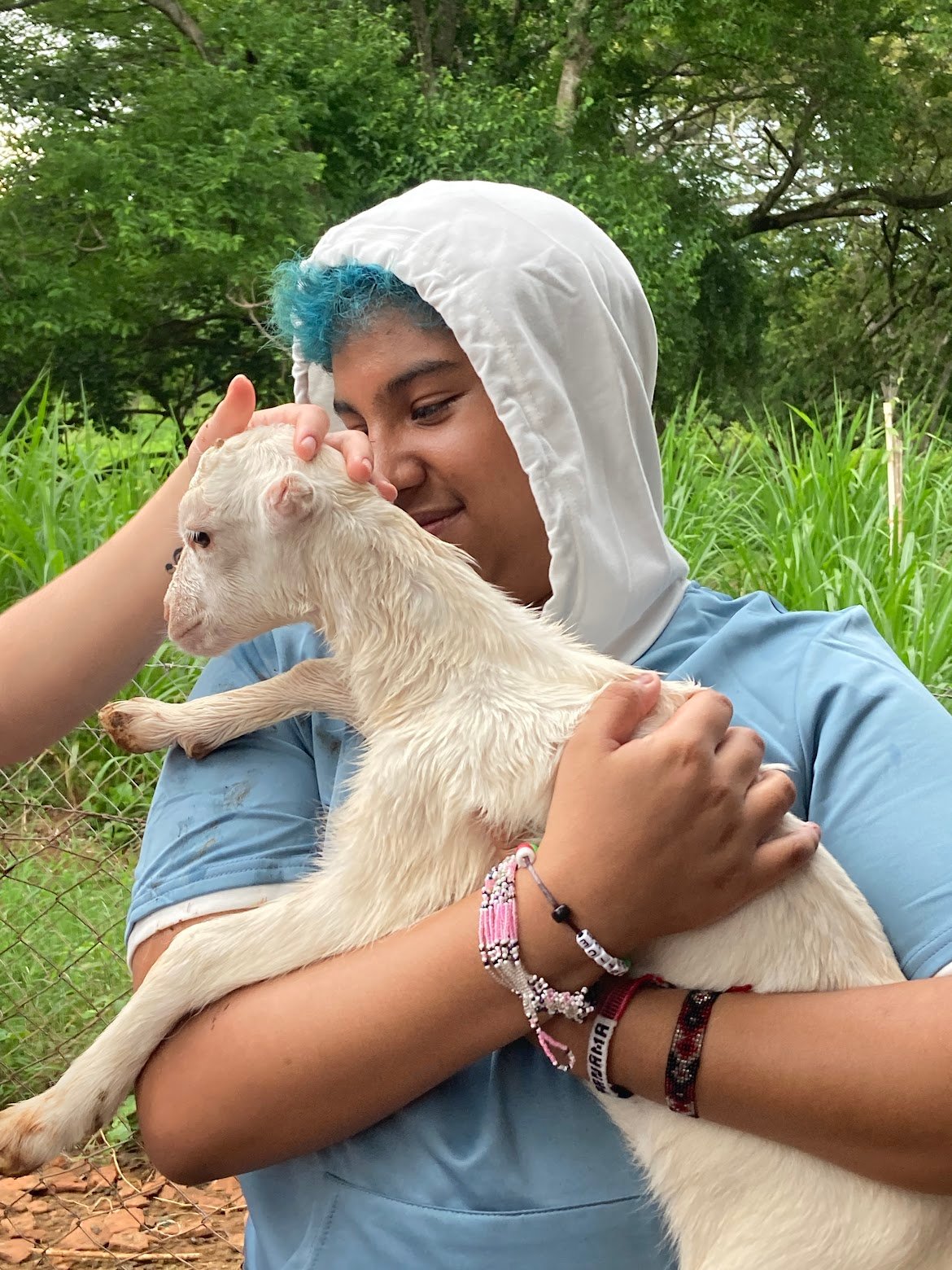my baby goat