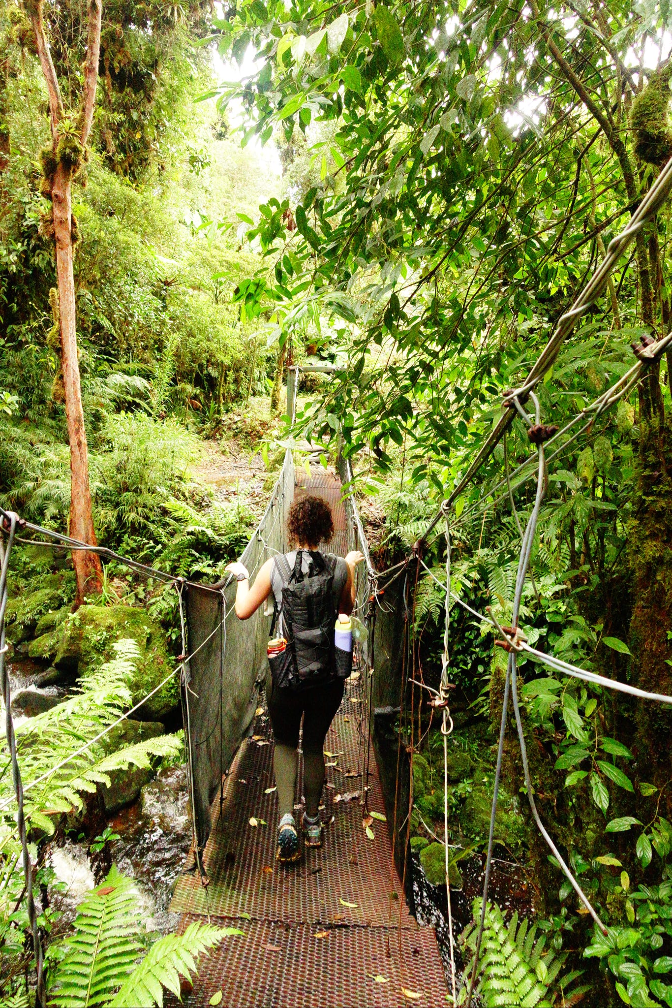 Hiking before class to Cerro Dantas
