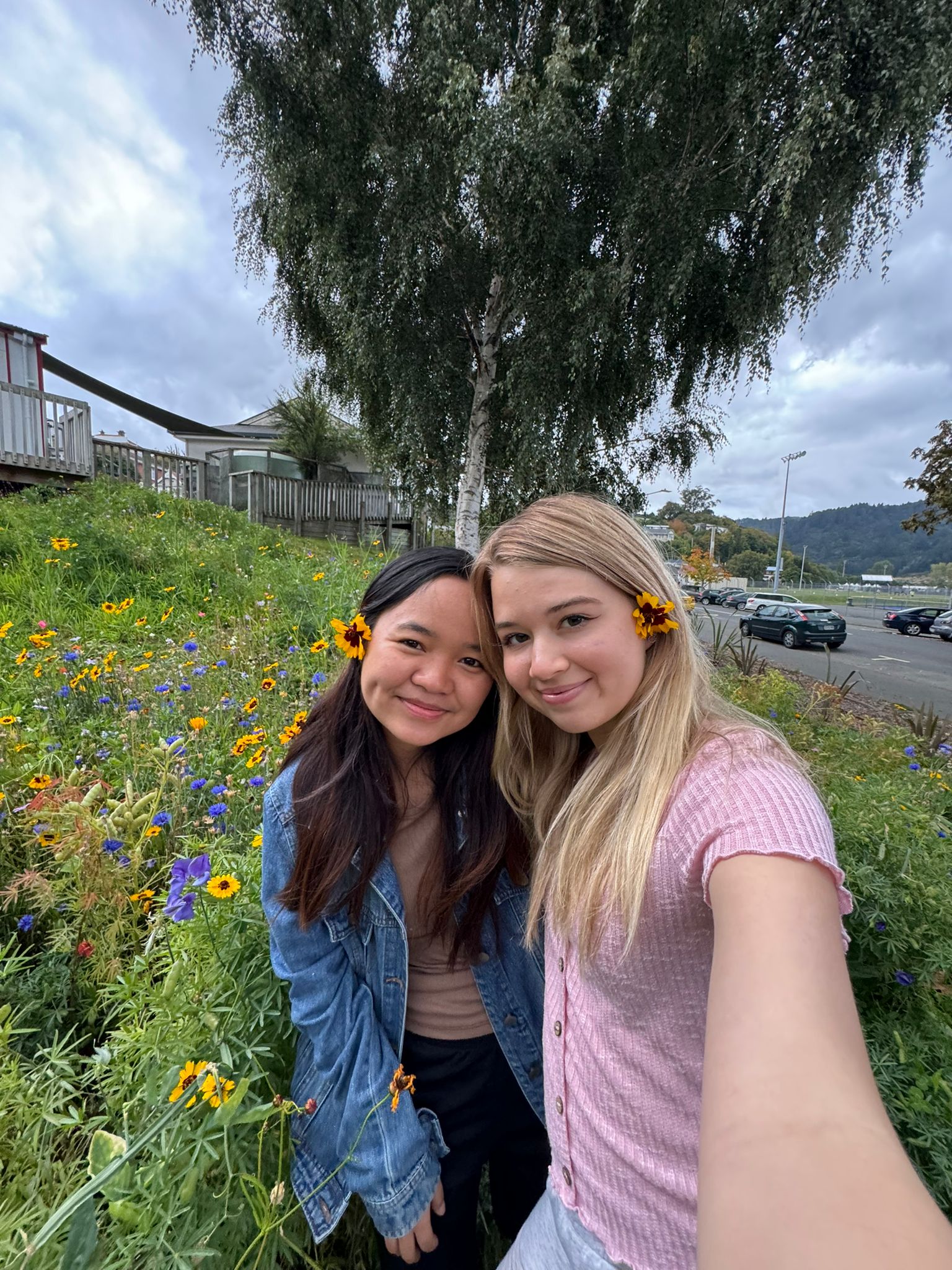 Wild Flowers