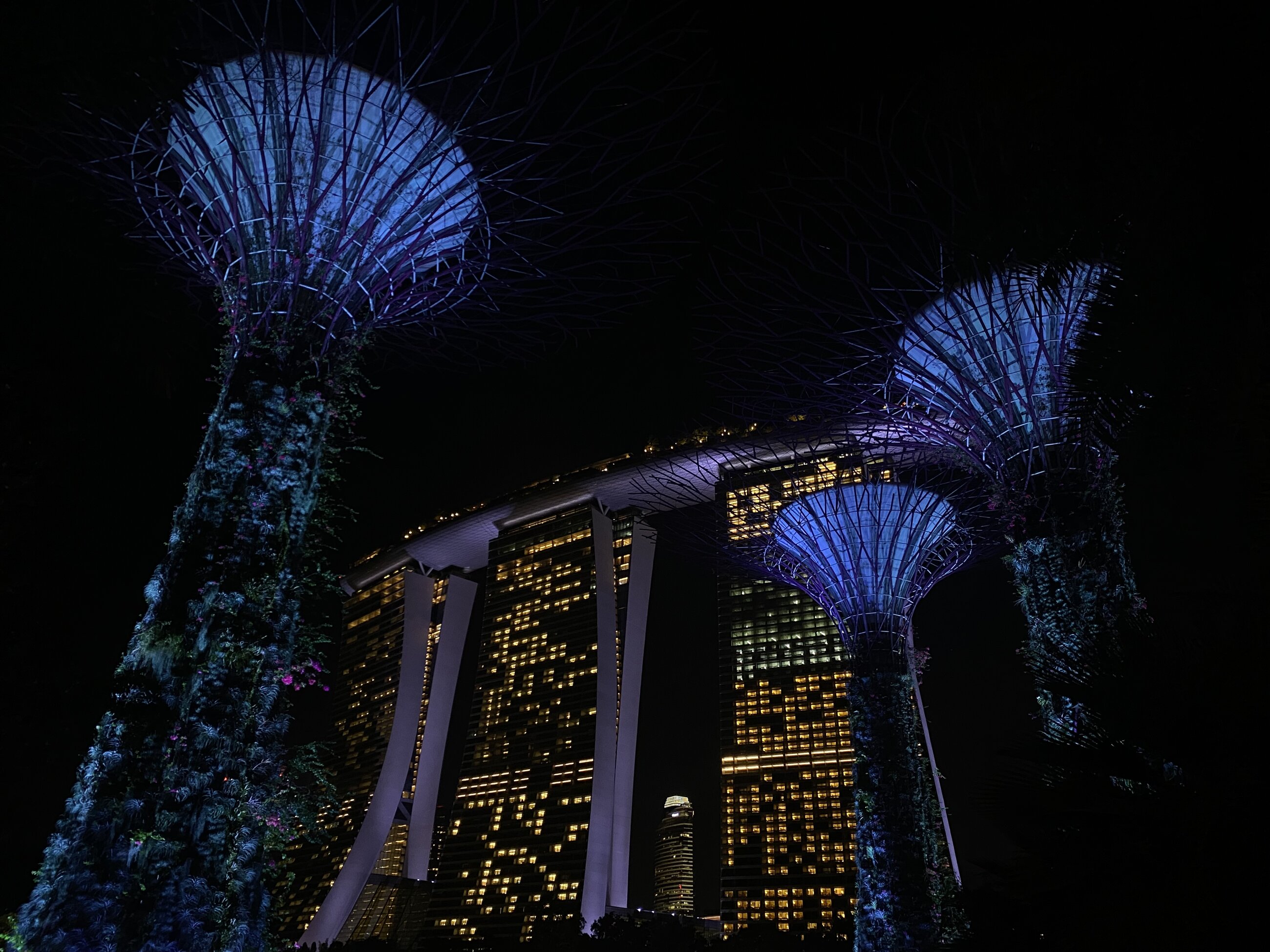 Gardens by the bay