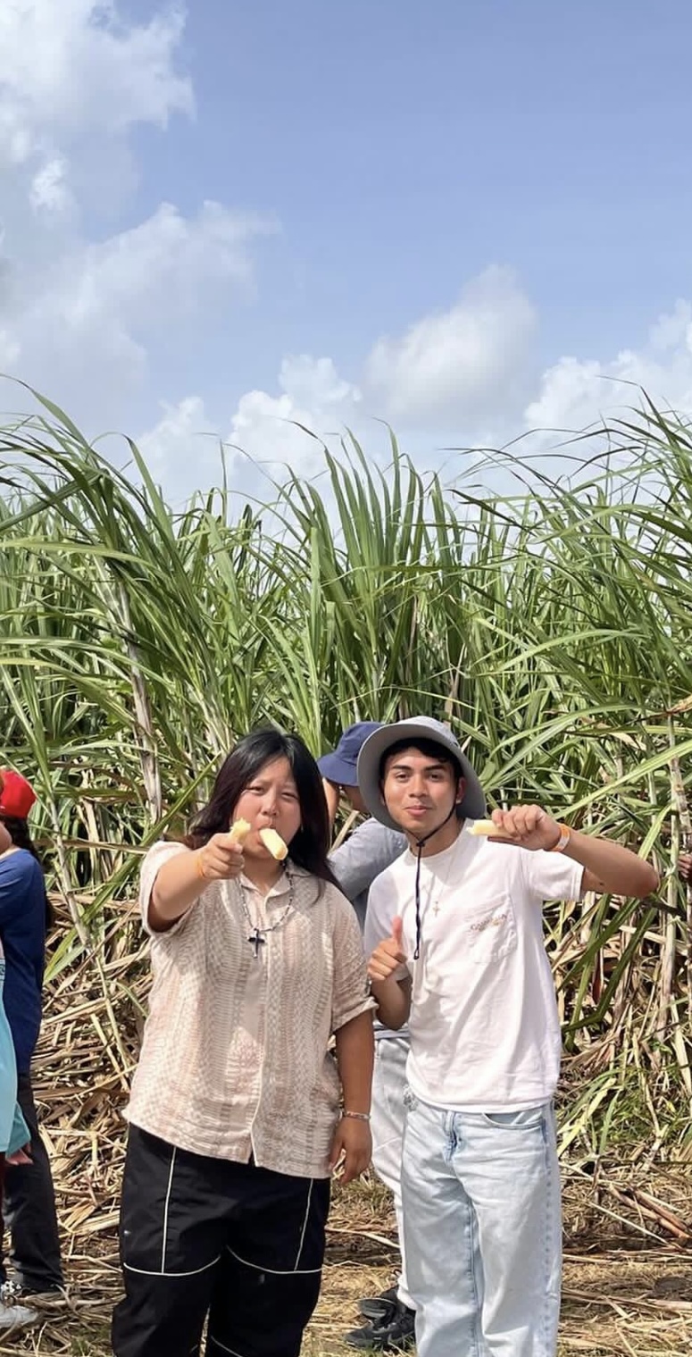 Sugarcane Visit