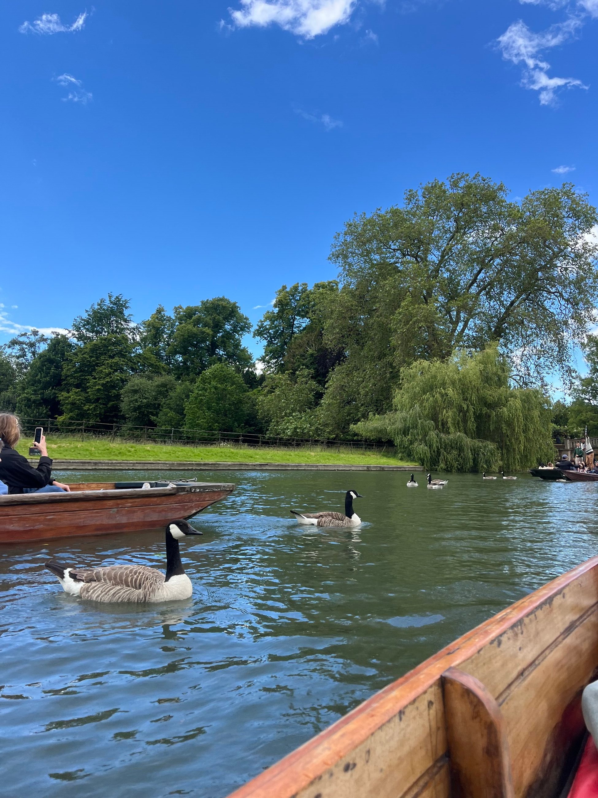 Cambridge day with Beyond