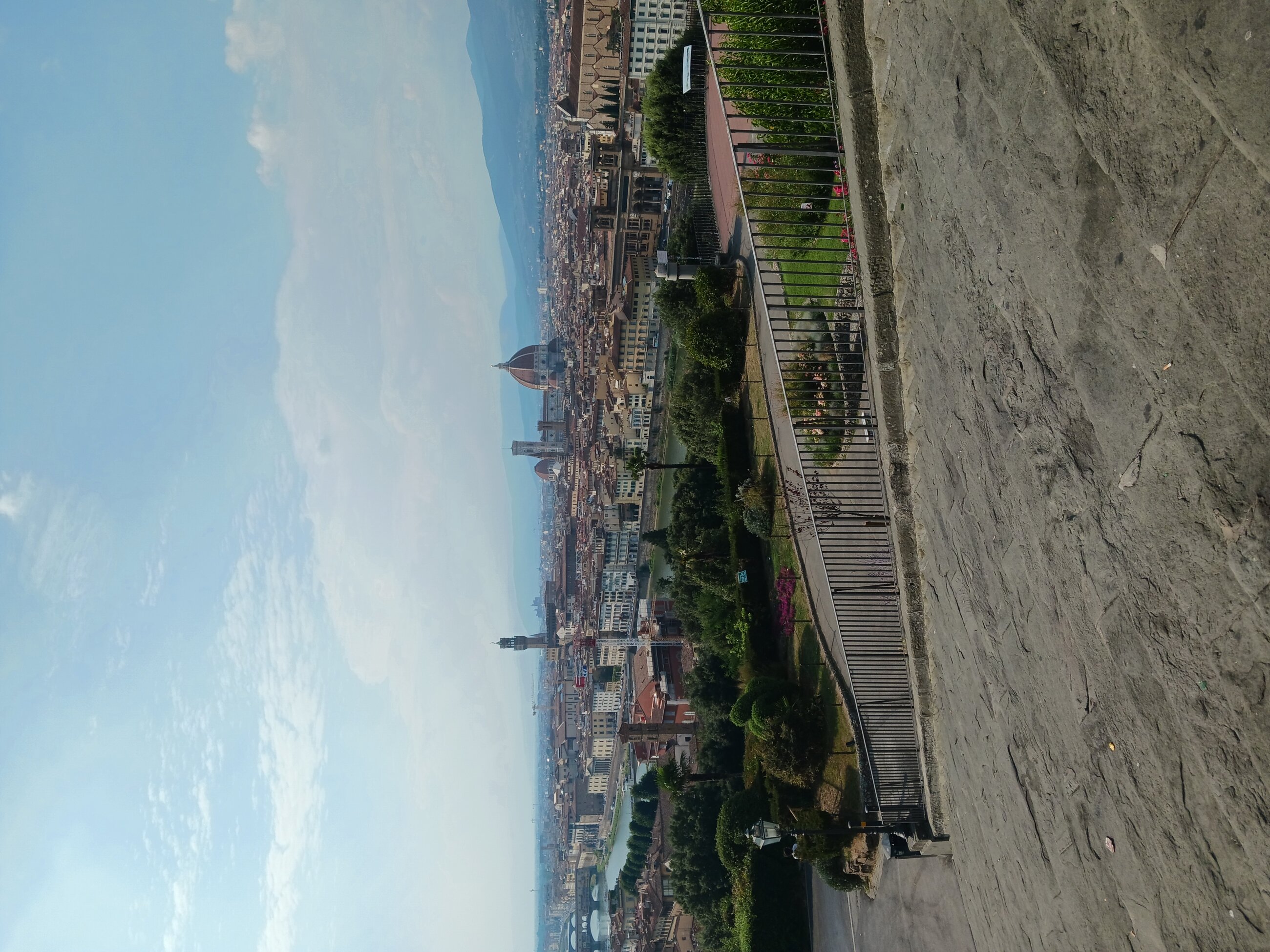 Florence from up high