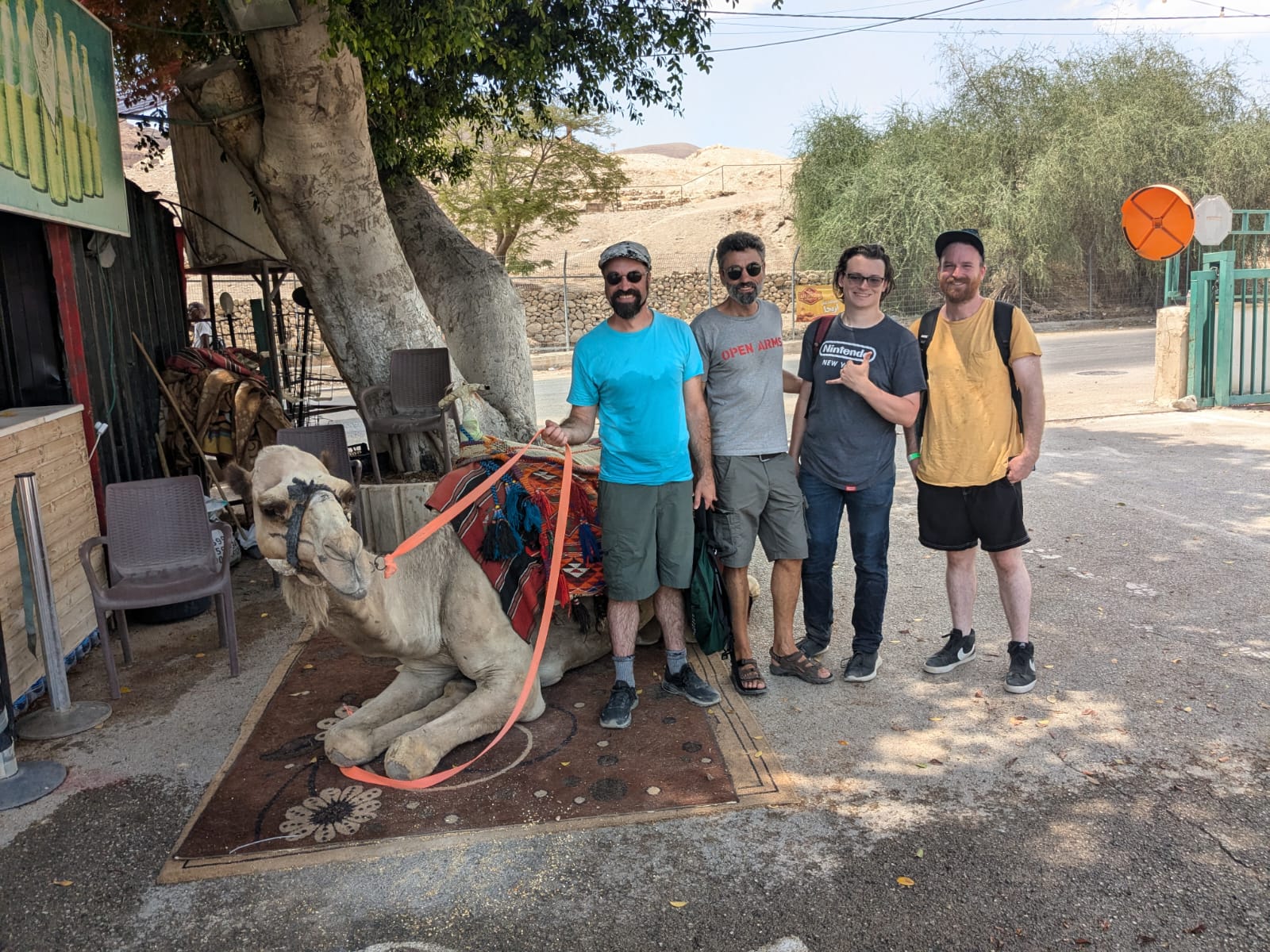 Camel in Jericho