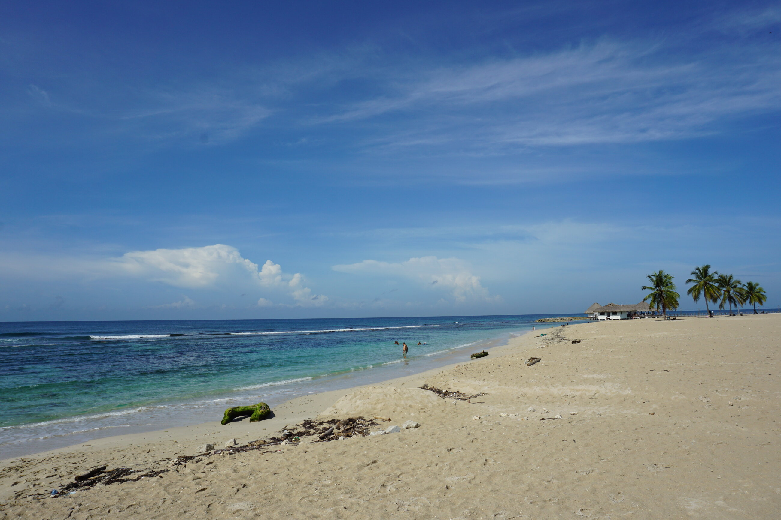 Beach Day!