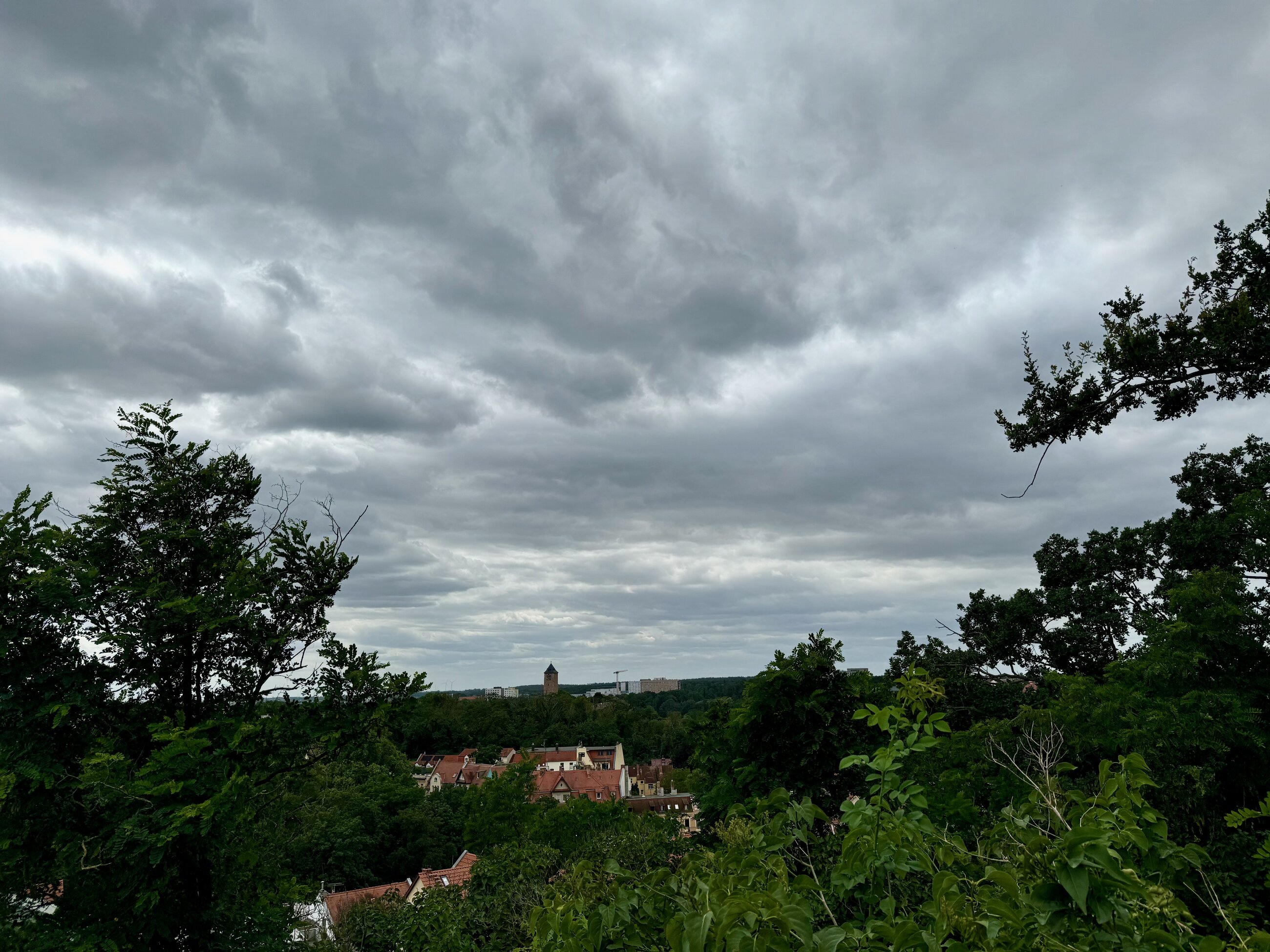 Halle from above (at the Zoo)