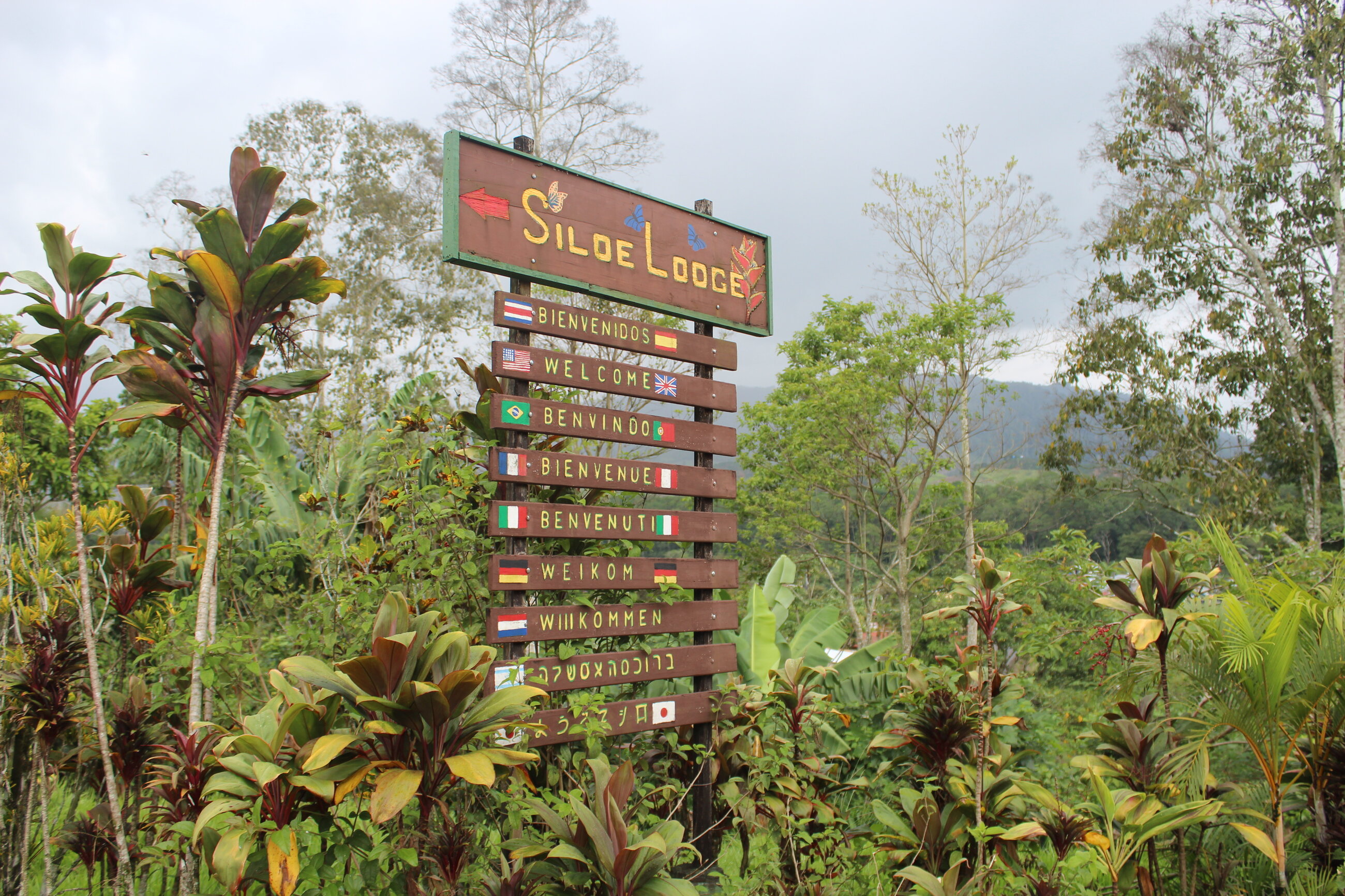 I ❤️ Siloe Lodge