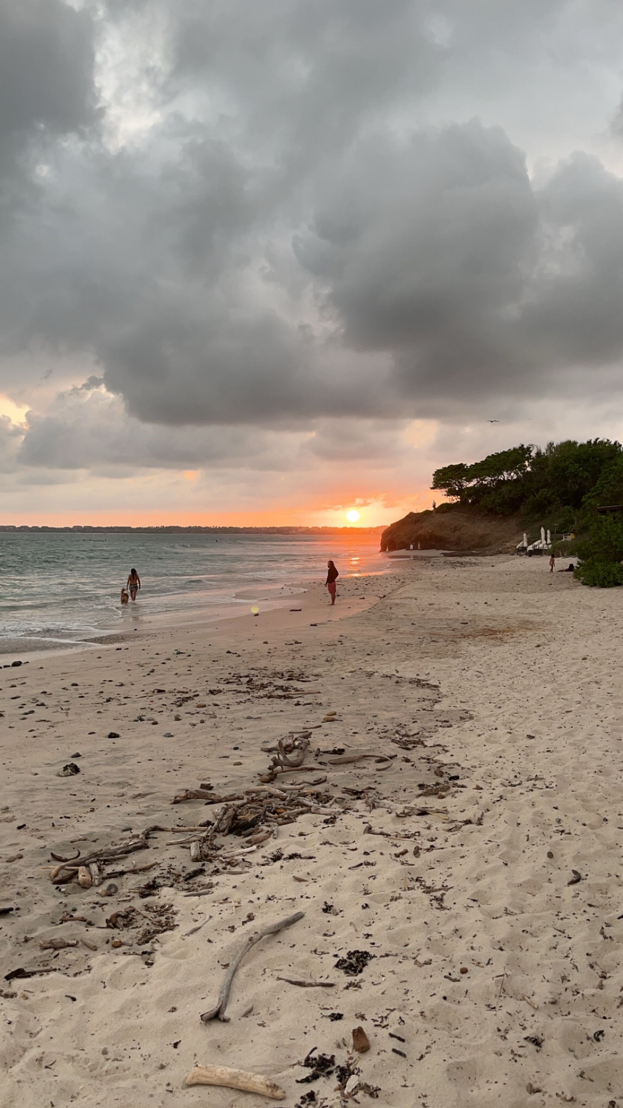 Beach in Nayarit