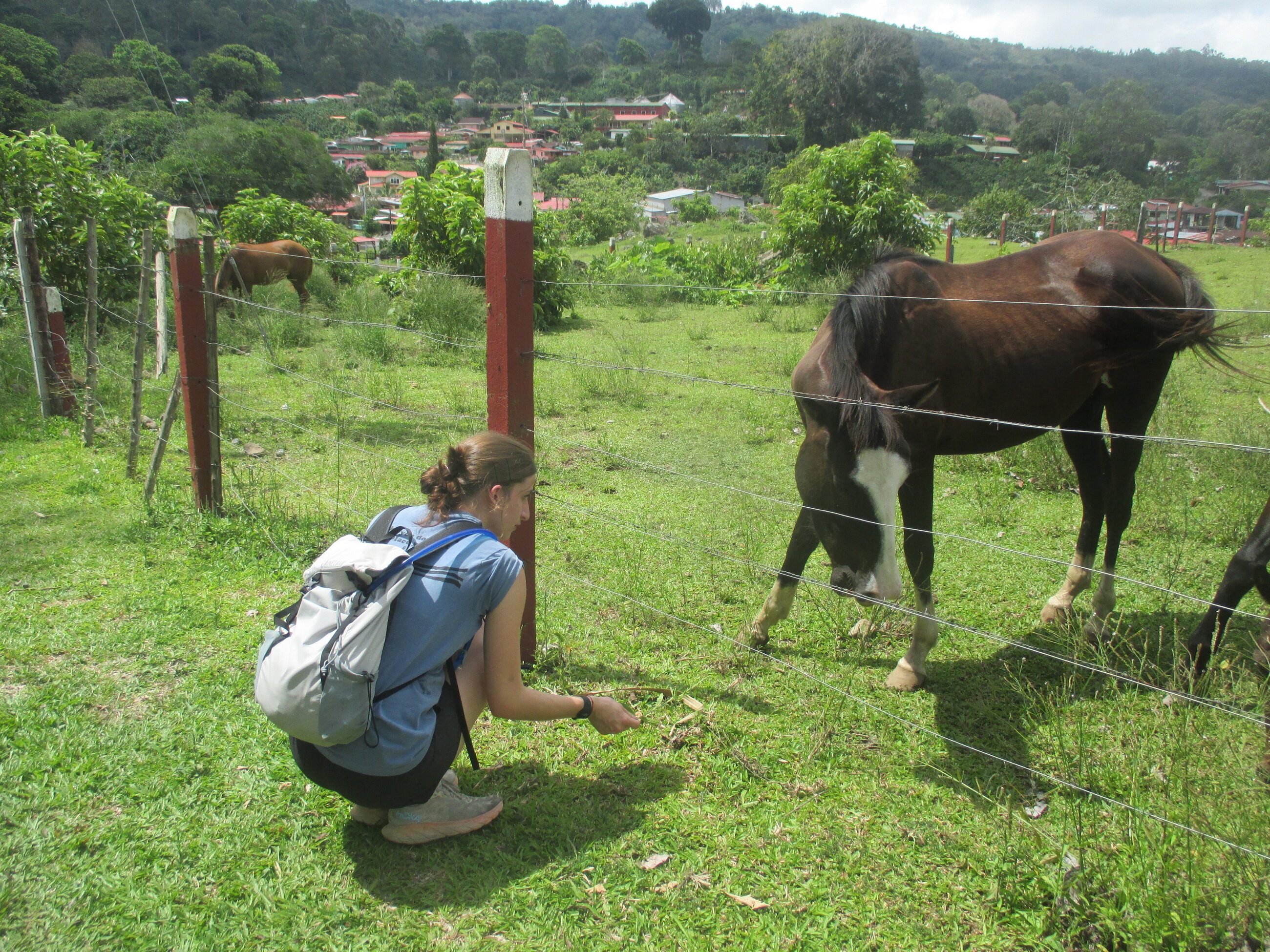 My friend and a horse right down the road from the home we stayed at.
