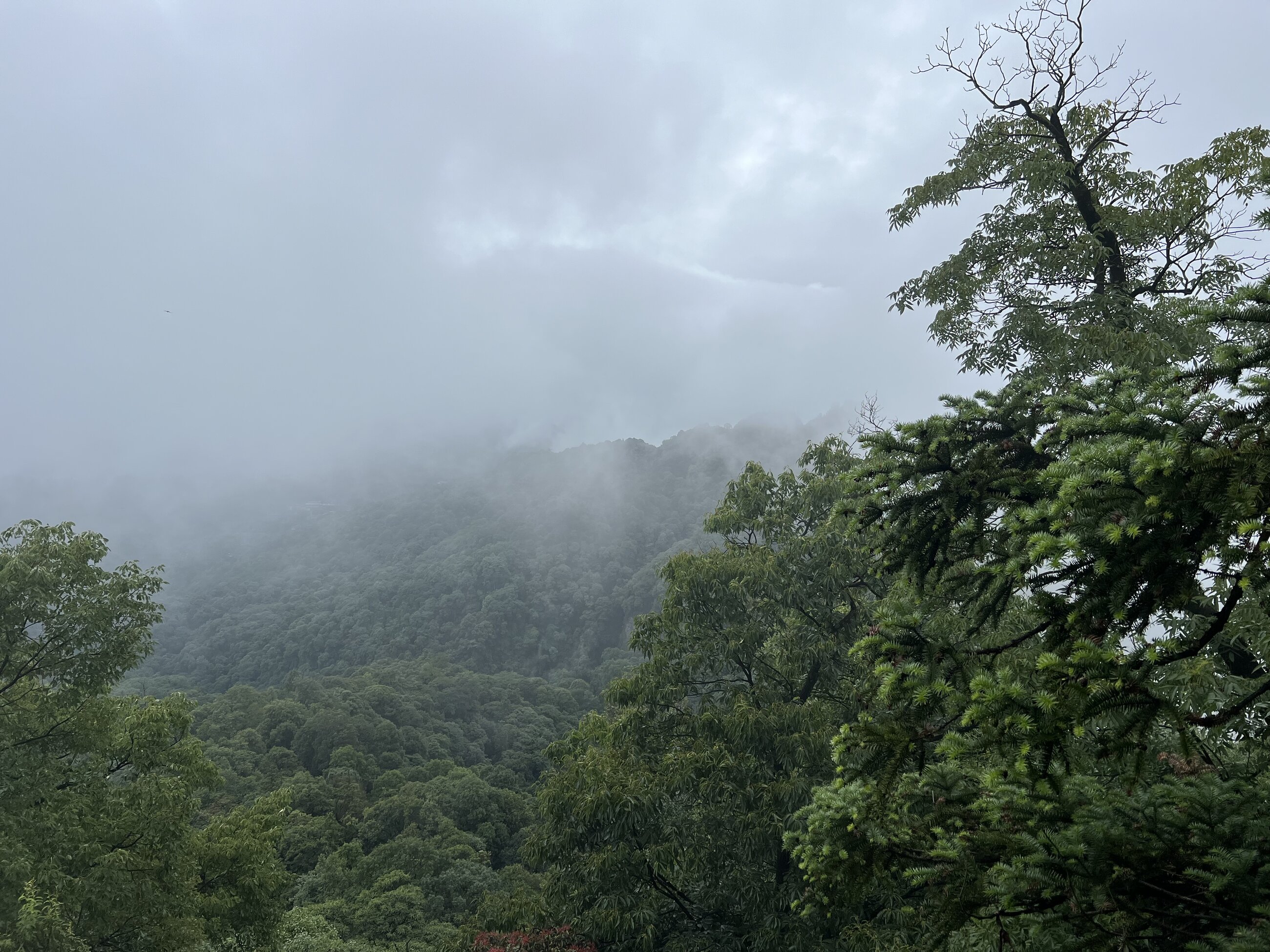 Mountains