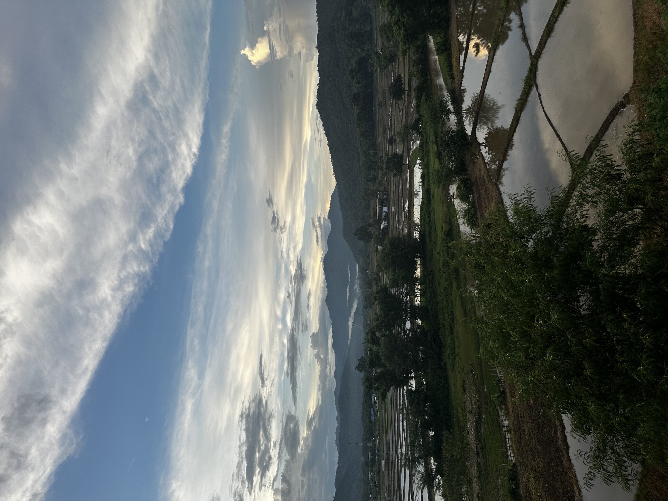 Village in Mueang Khong