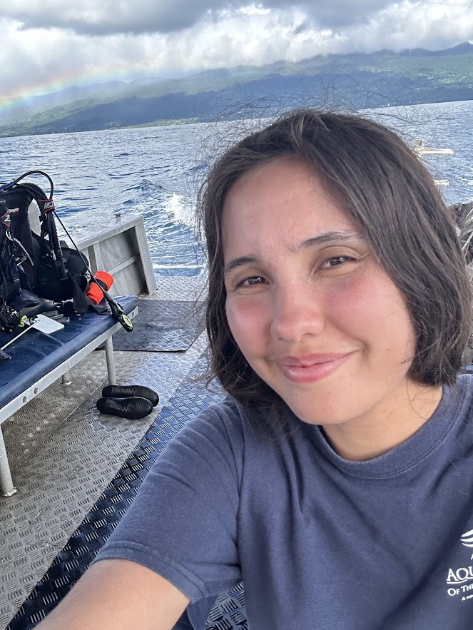 scuba diving in Taveuni