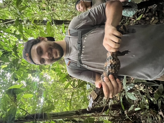 This was in the Amazon with a baby caiman. We found this on our hike out to our campsite in the middle of the jungle. This was one of many animals from pink dolphins to one of the largest birds of prey in the world. I spent a whole week there and will never forget this experience.
