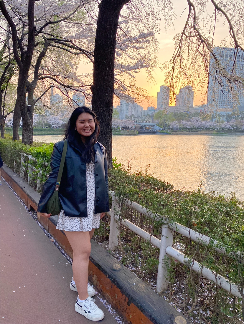 Cherry blossom season