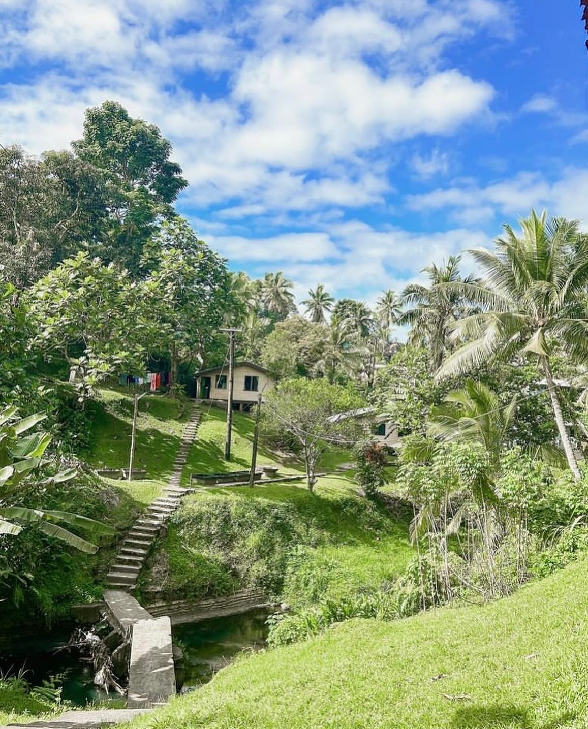 fiji 3