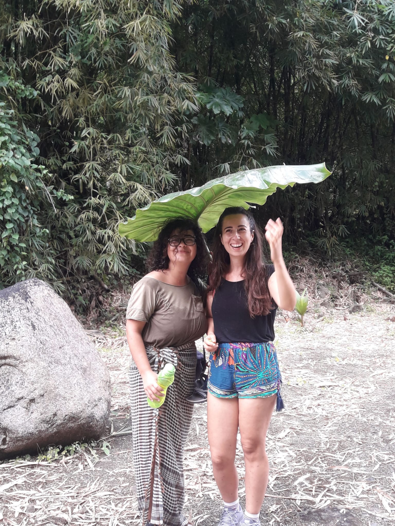 How could a leaf cover two head?