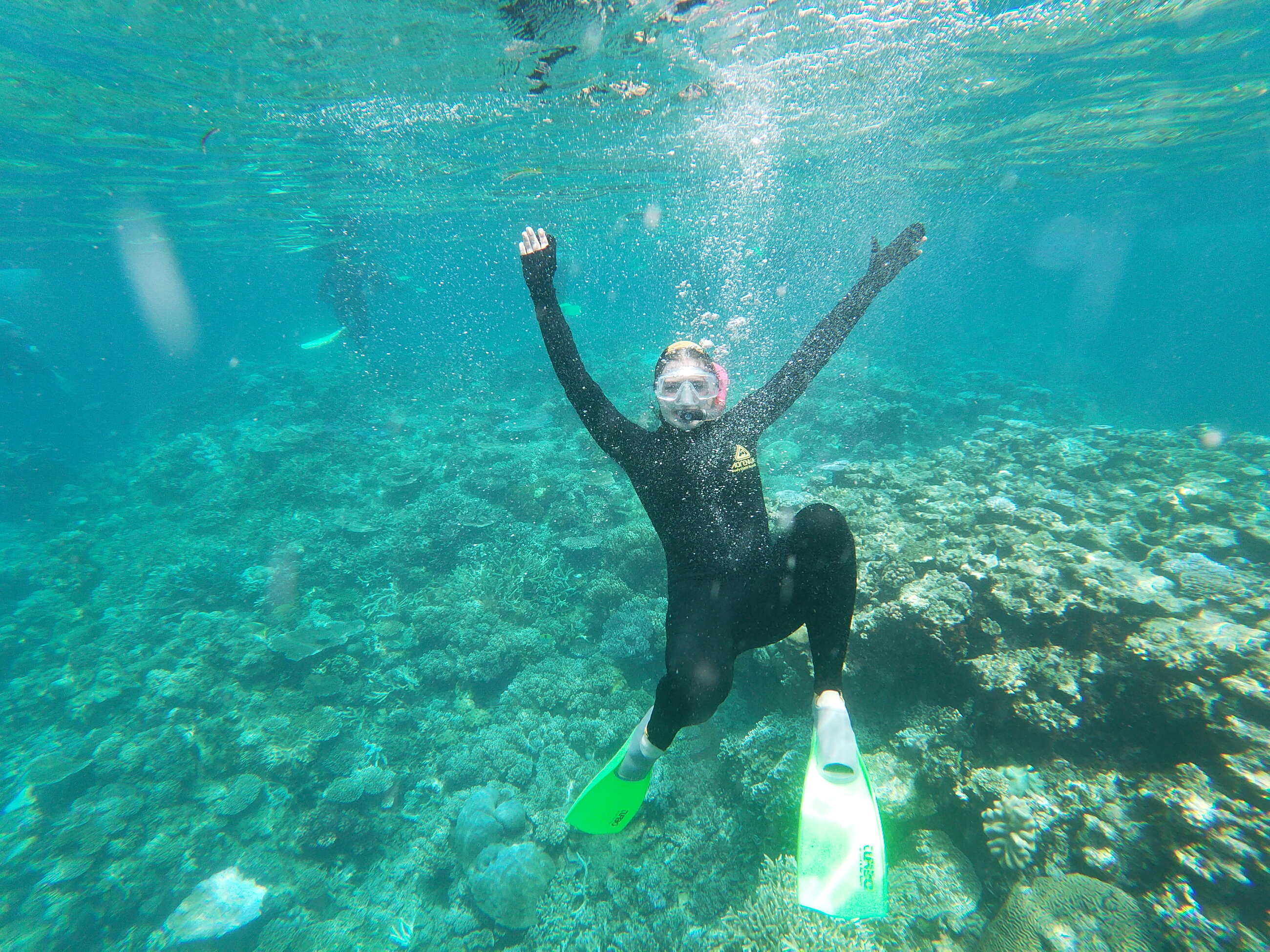 Snorkeling the Great Barrier Reef