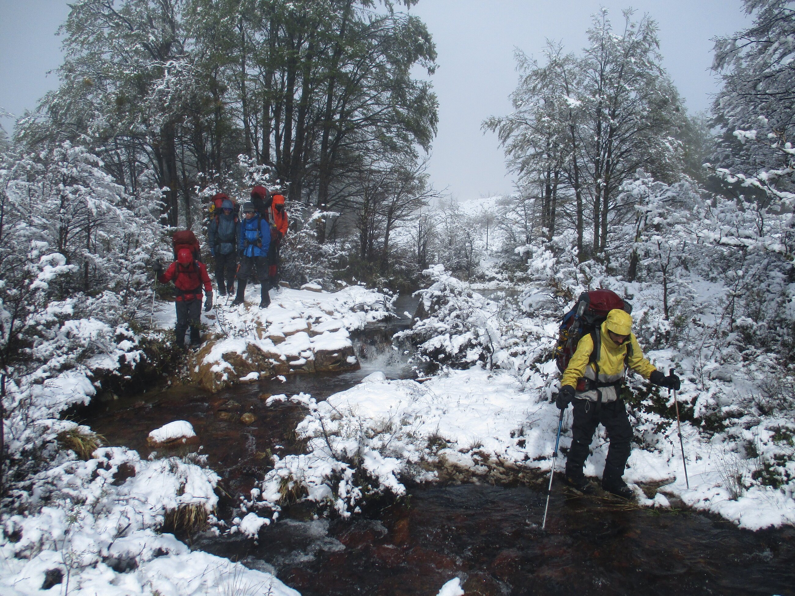 Snowy morning group expedition 