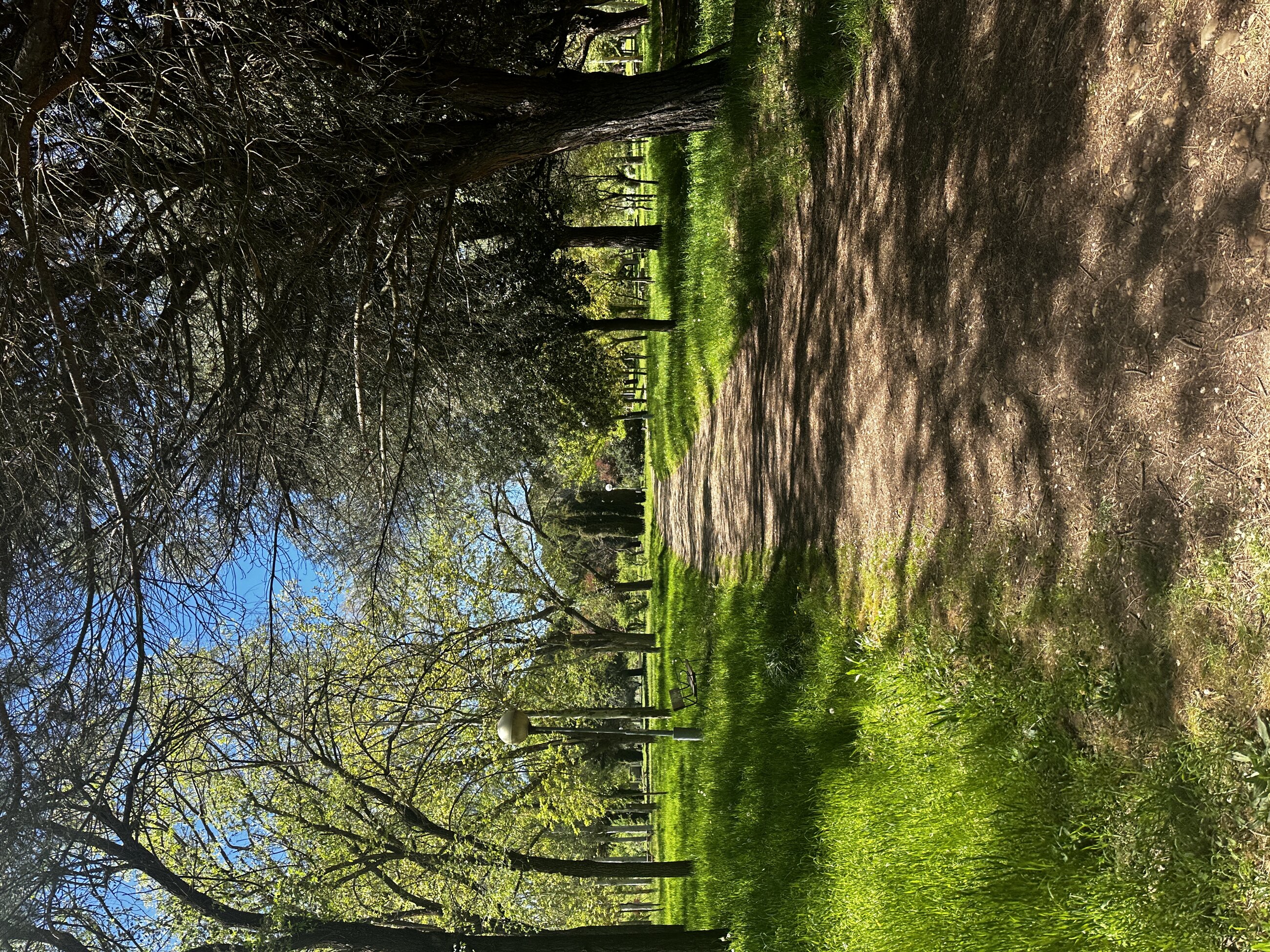 park near my resedencia