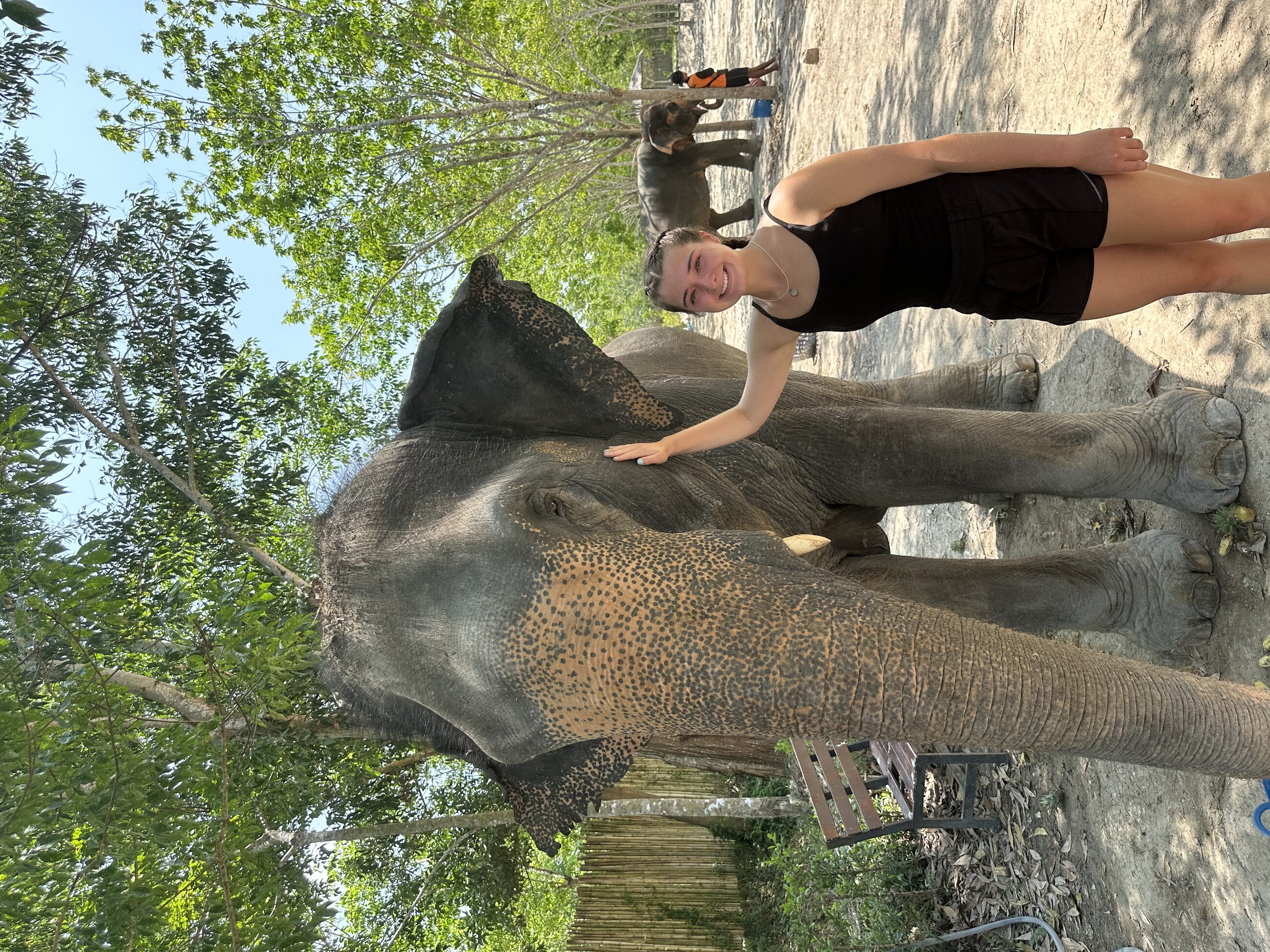 Elephant Sanctuary in Phuket, Thailand