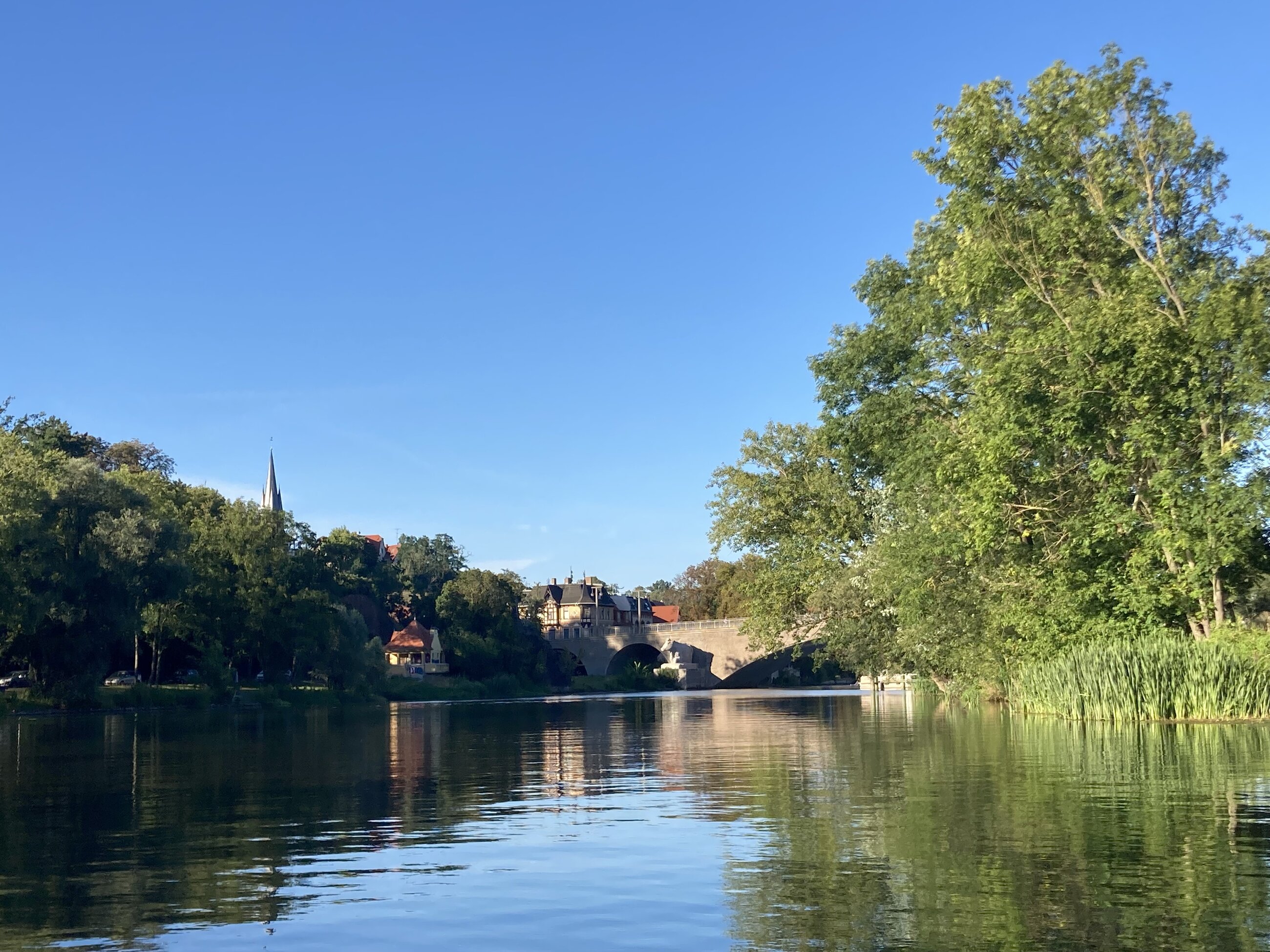 the Saale