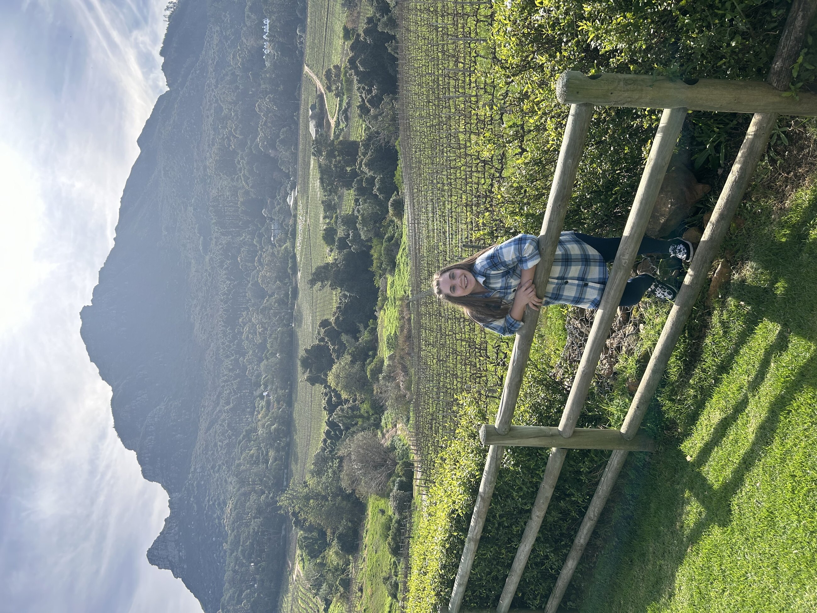 Vineyard