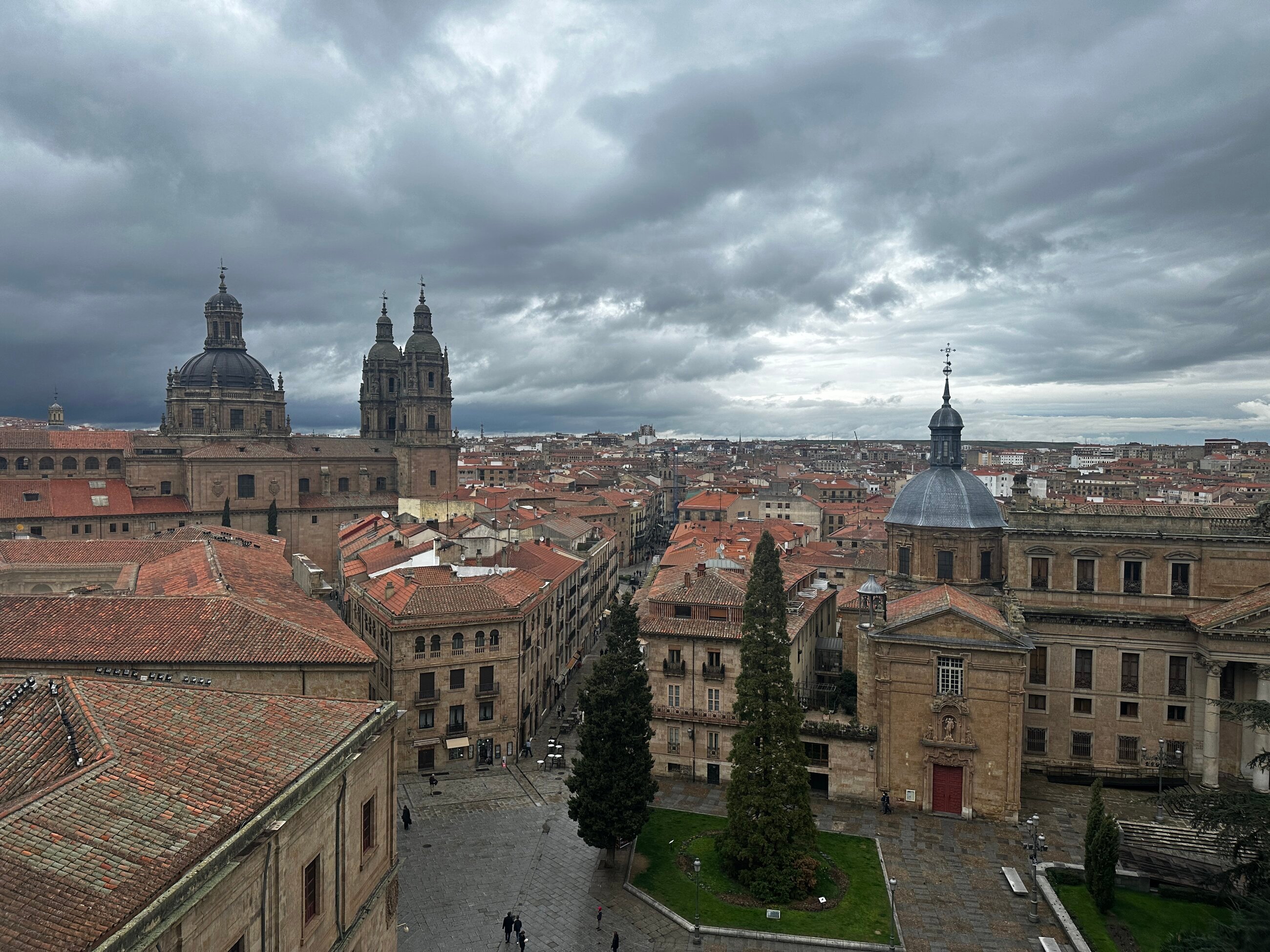 view of Salamanca from the top of the cathedral 