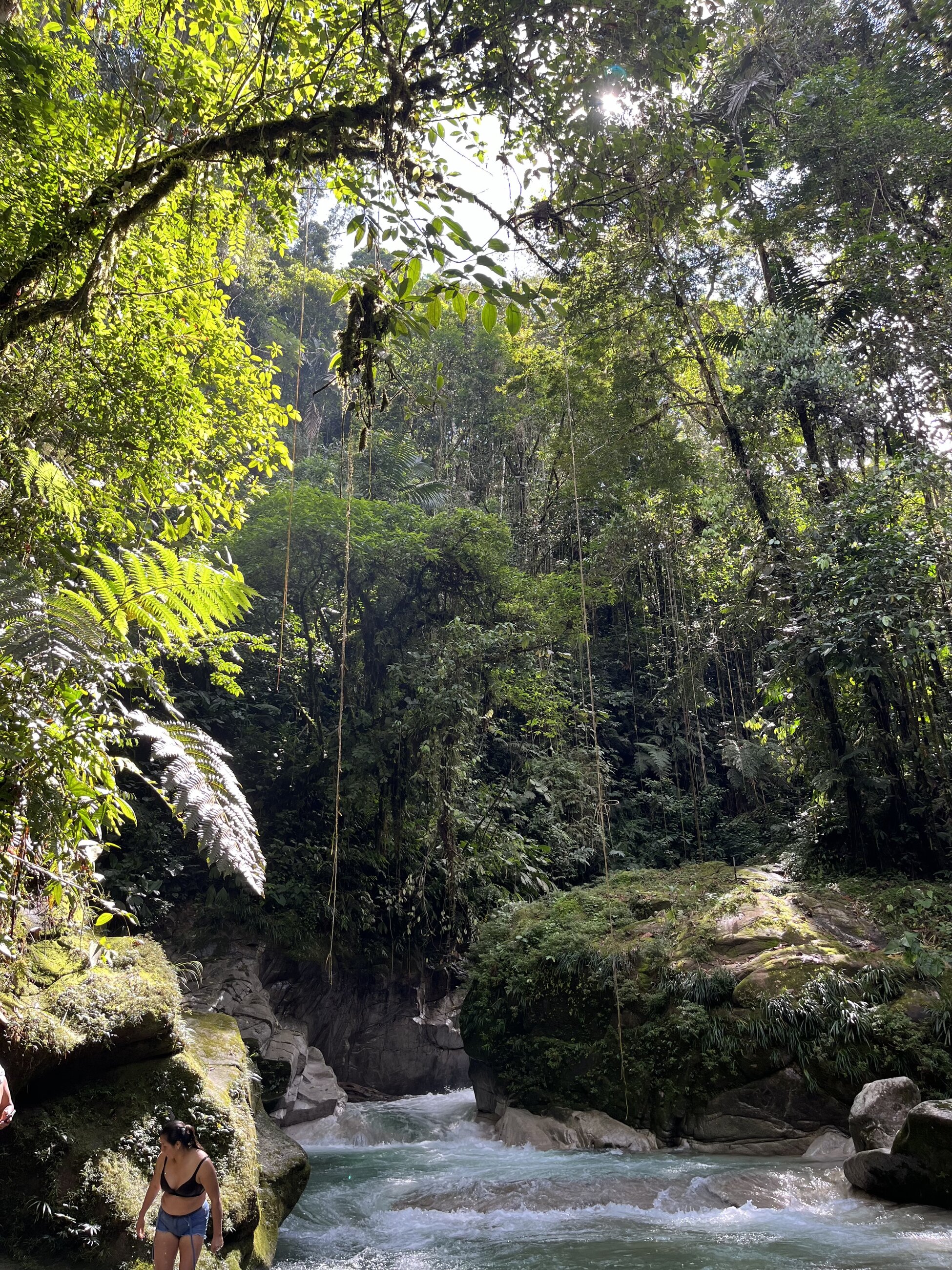 Beautiful Swimming Spot