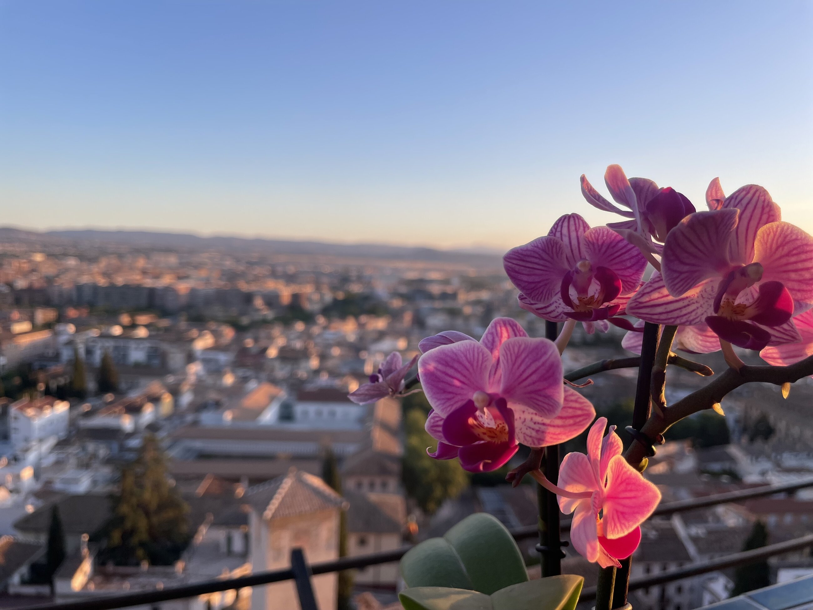 Granada