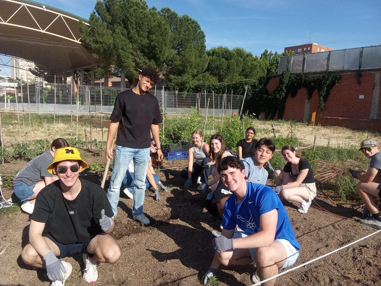 urban garden activity