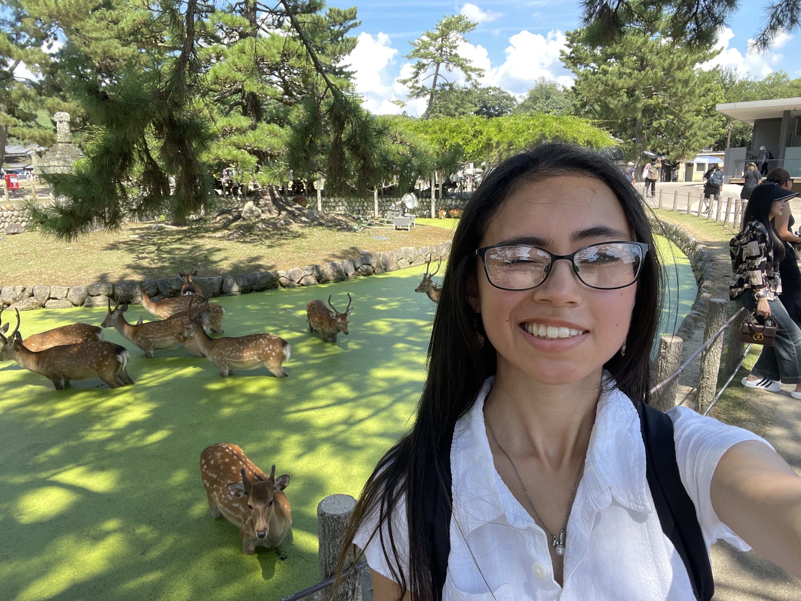 Me with the deers in Nara! They were really hot because of the weather so they didn't feel like being very social haha