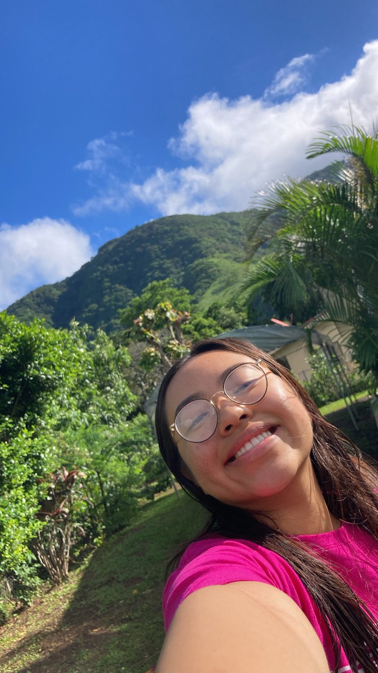 Tropical Paradise 