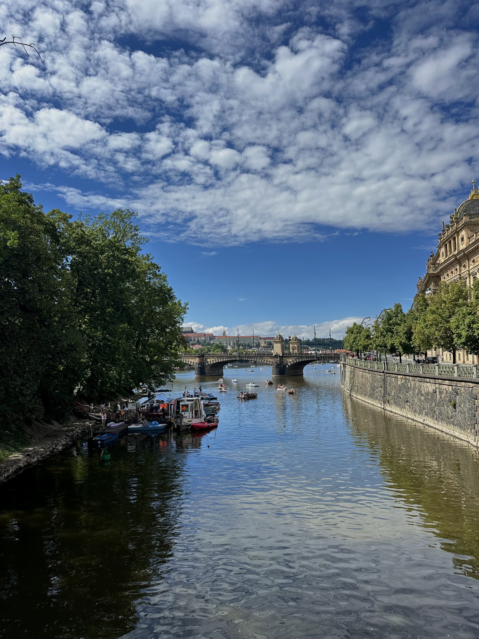 View of the river