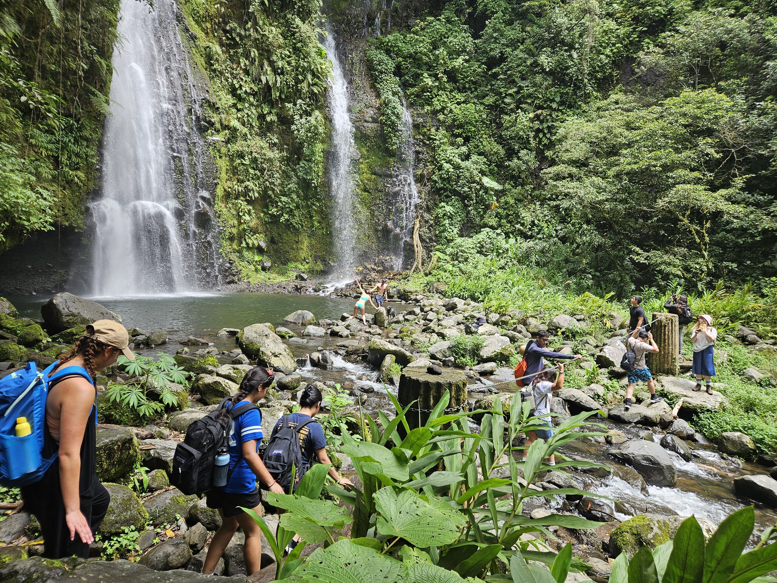 The Waterfall