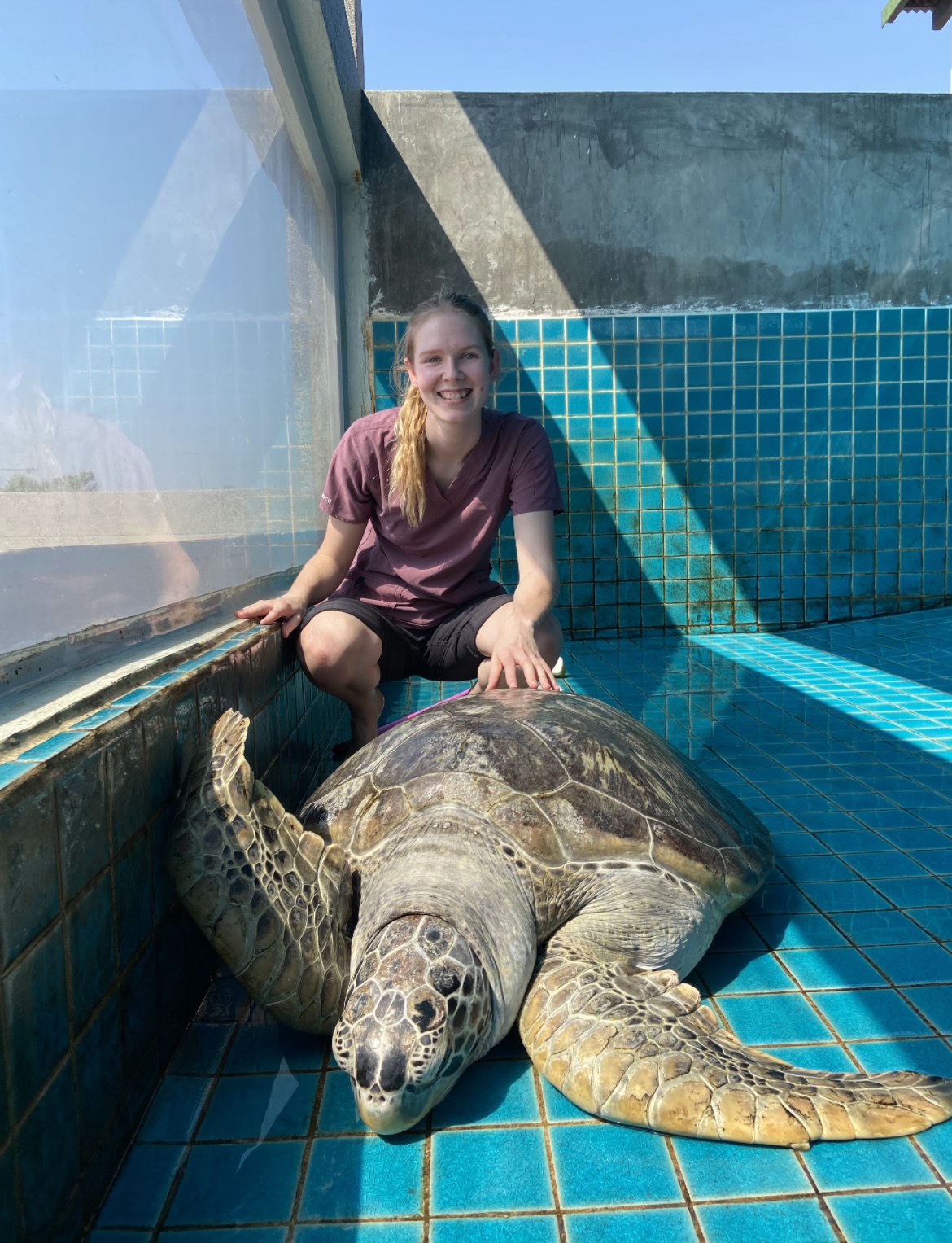 As part of the marine course, we spent two days volunteering and assisting the vets at two different sea turtle rescues, which was great hands-on experience with these incredibly animals.