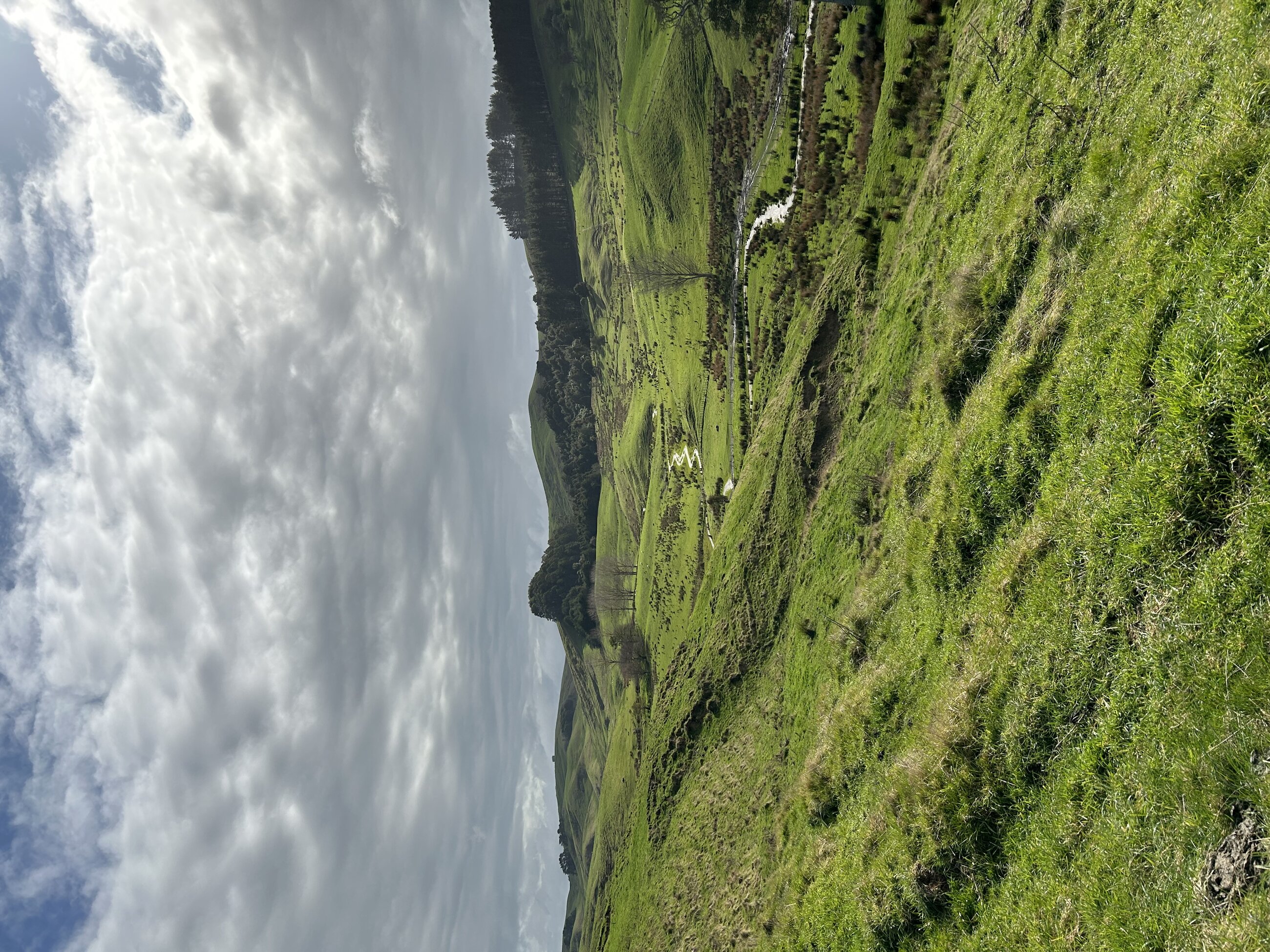 The farm they live and work on