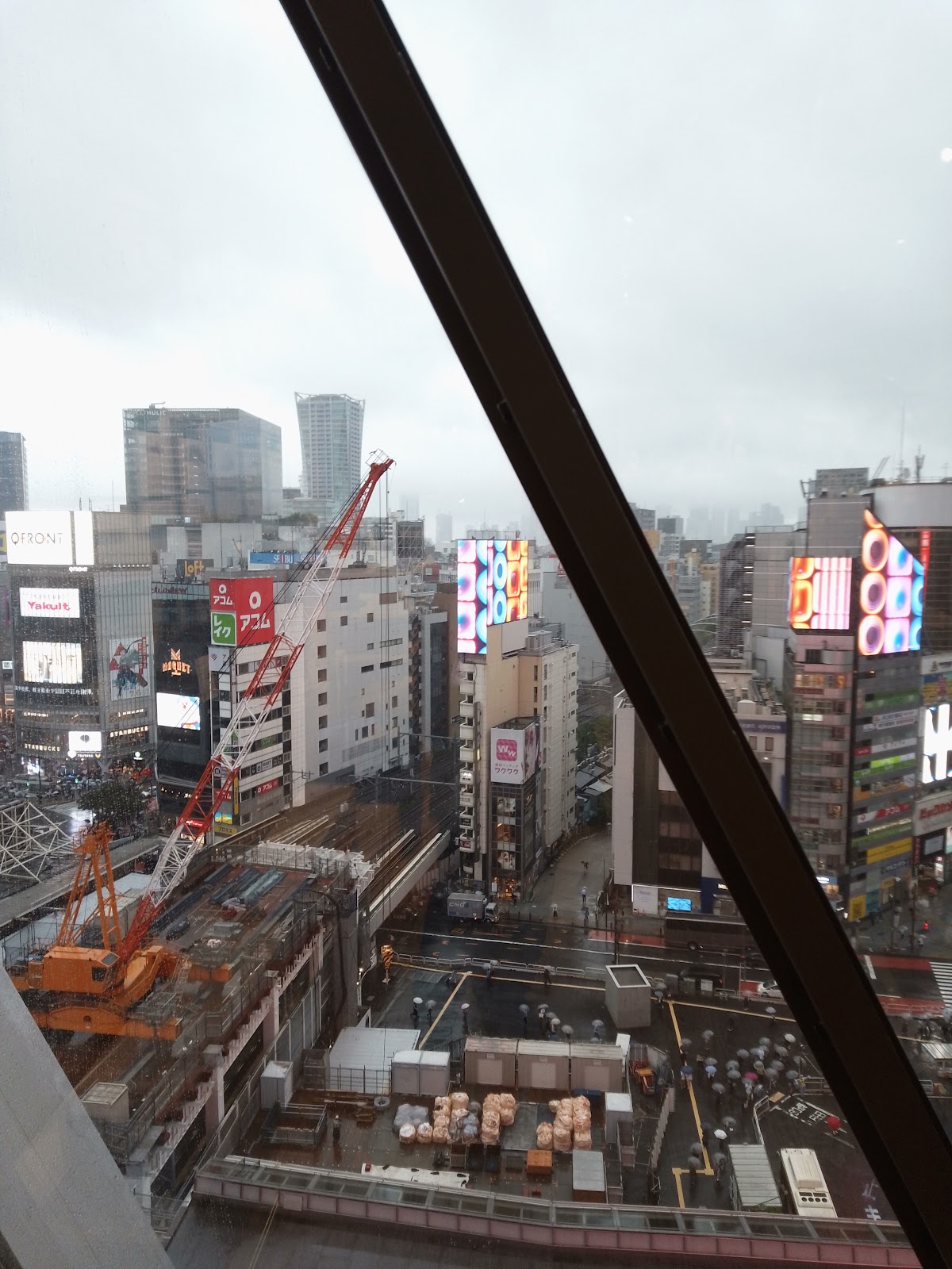 At shibuya