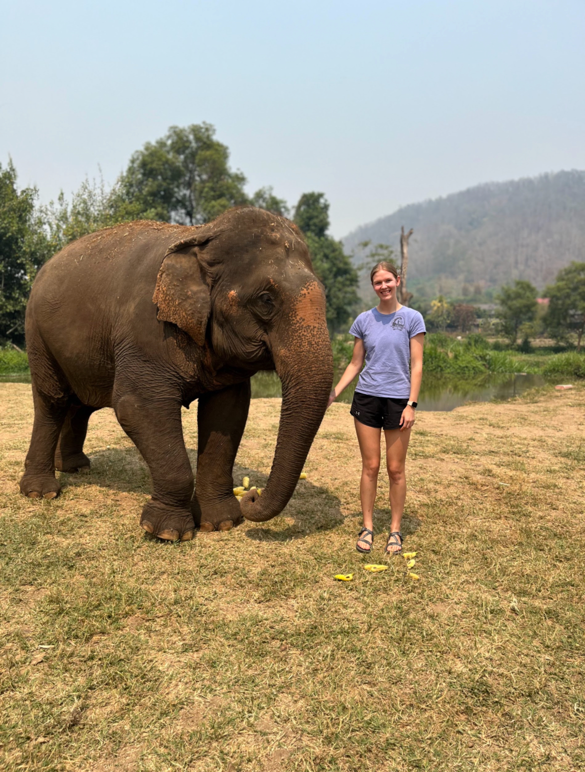 During the elephant course, we worked at three different elephant sanctuaries to learn about different care methods and how the sanctuaries handle various ethical dilemmas in Thailand.