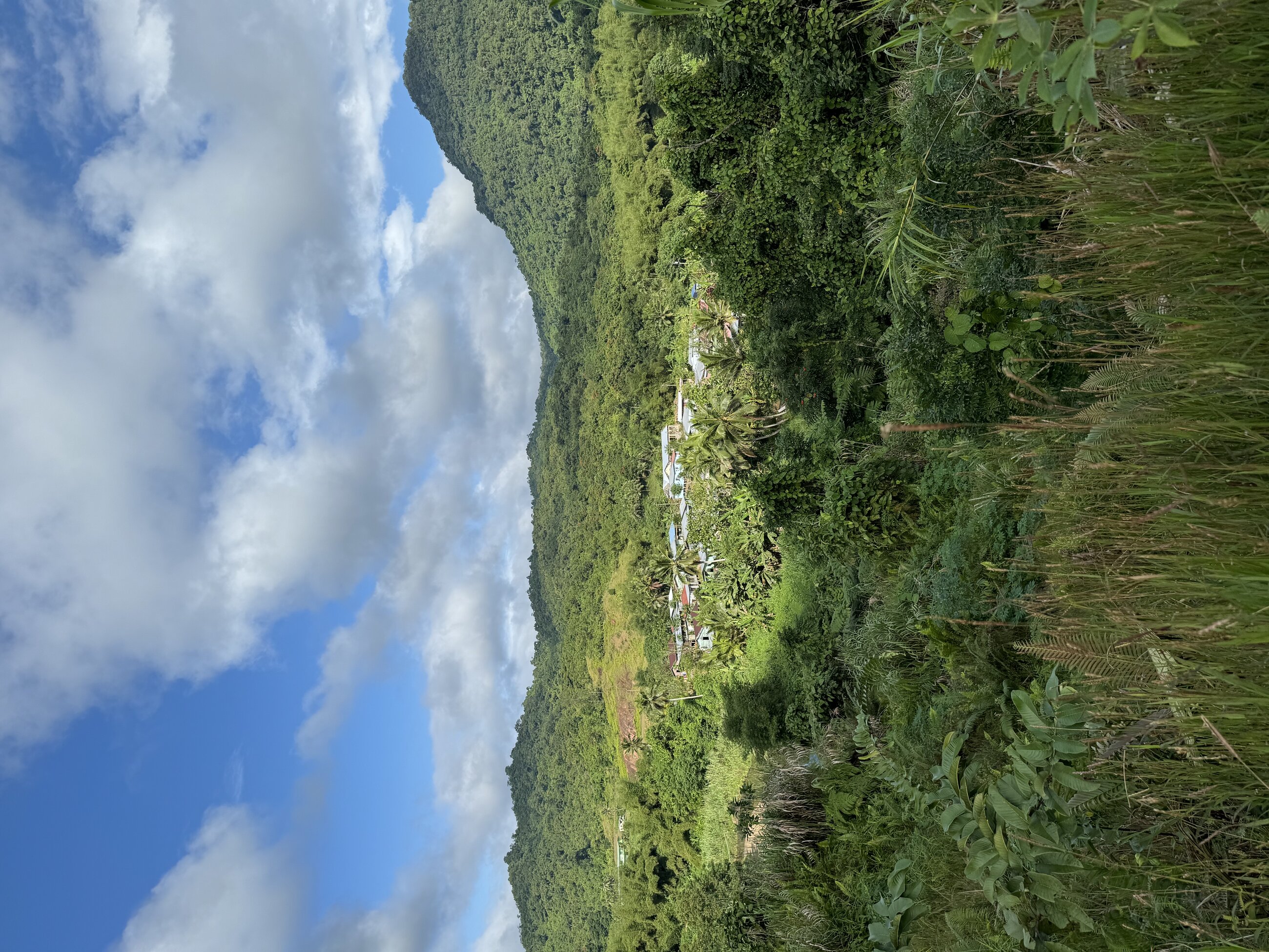Village in Paradise