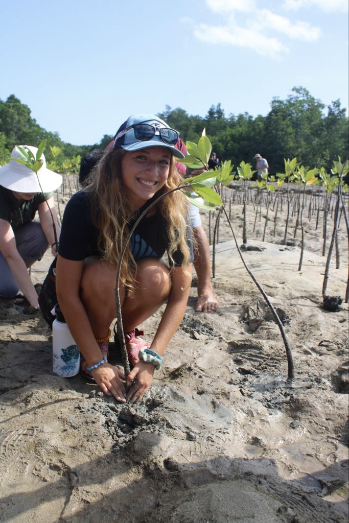 Planting mangroves
