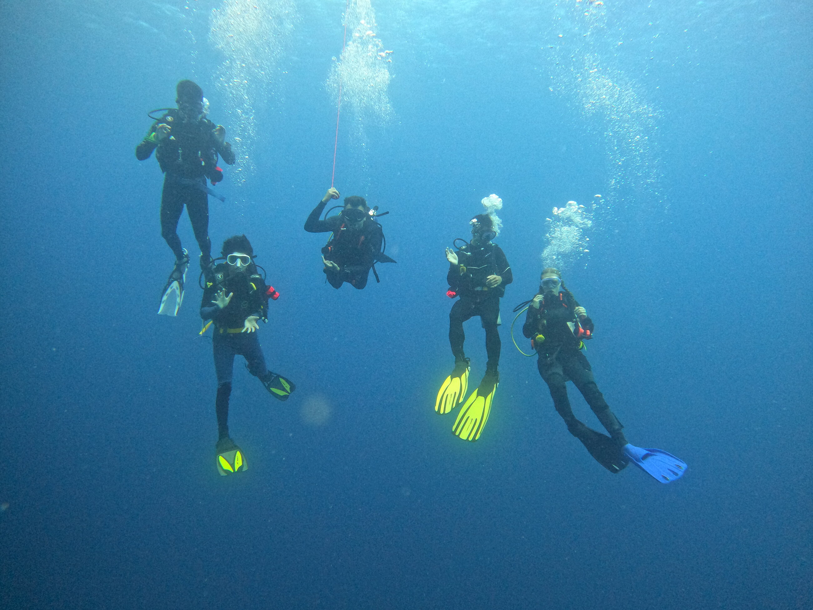 Just another dive day with the marine team, doing reef surveys