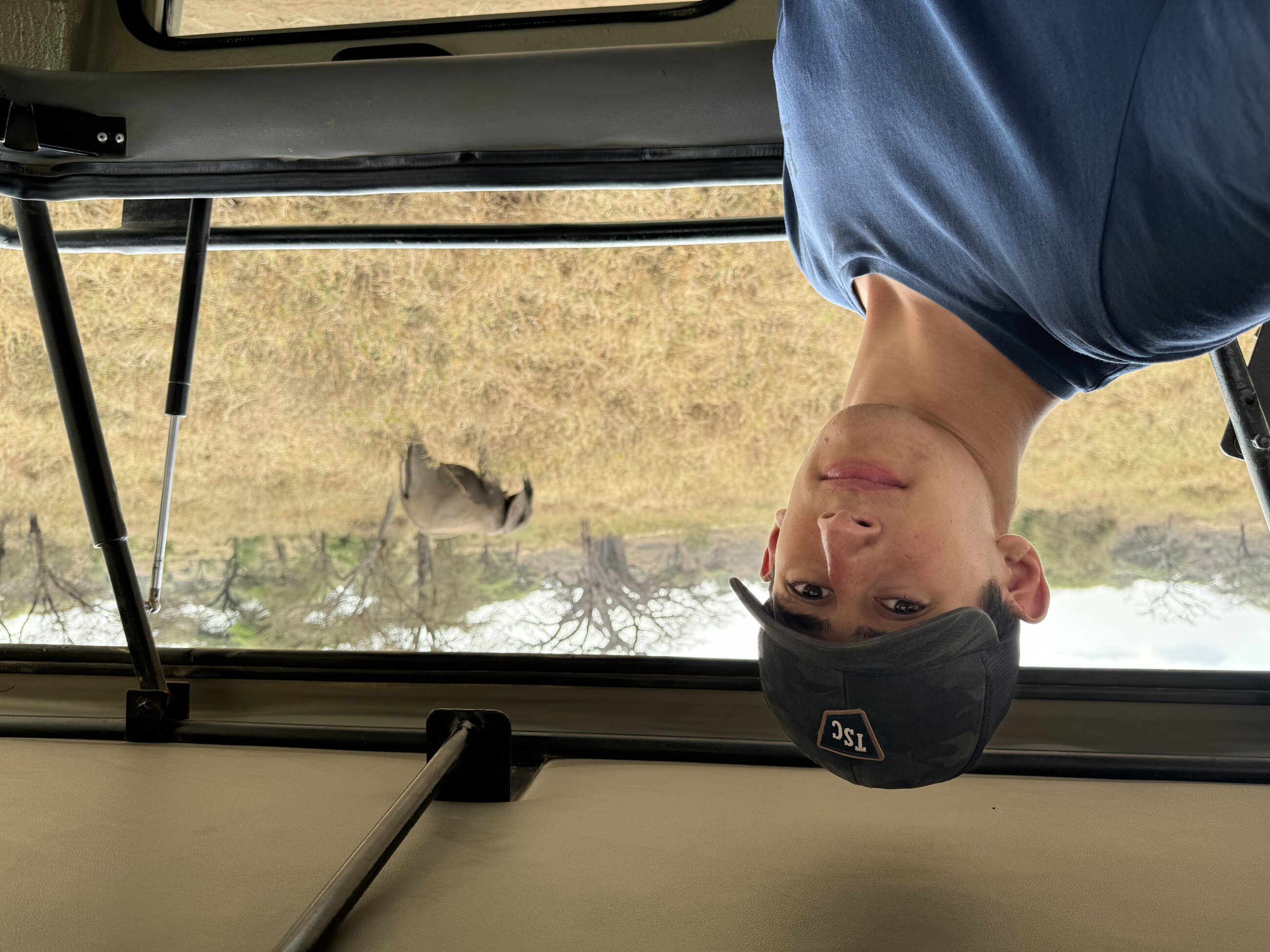 Safari