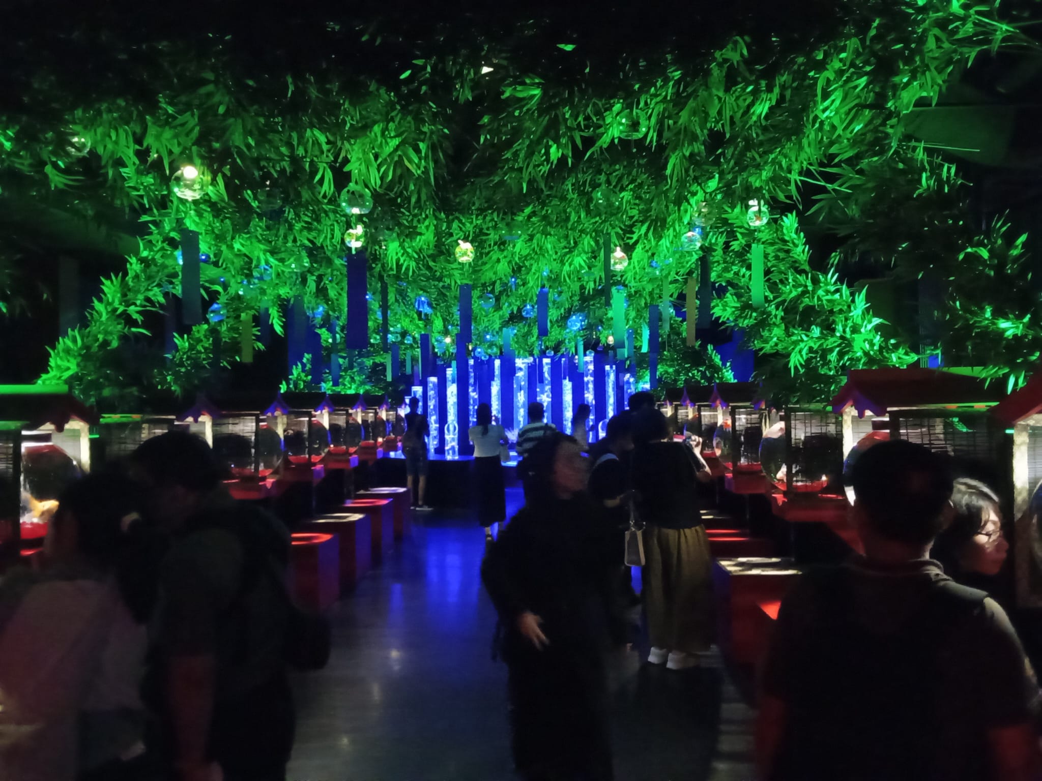 Art Aquarium Museum, Ginza