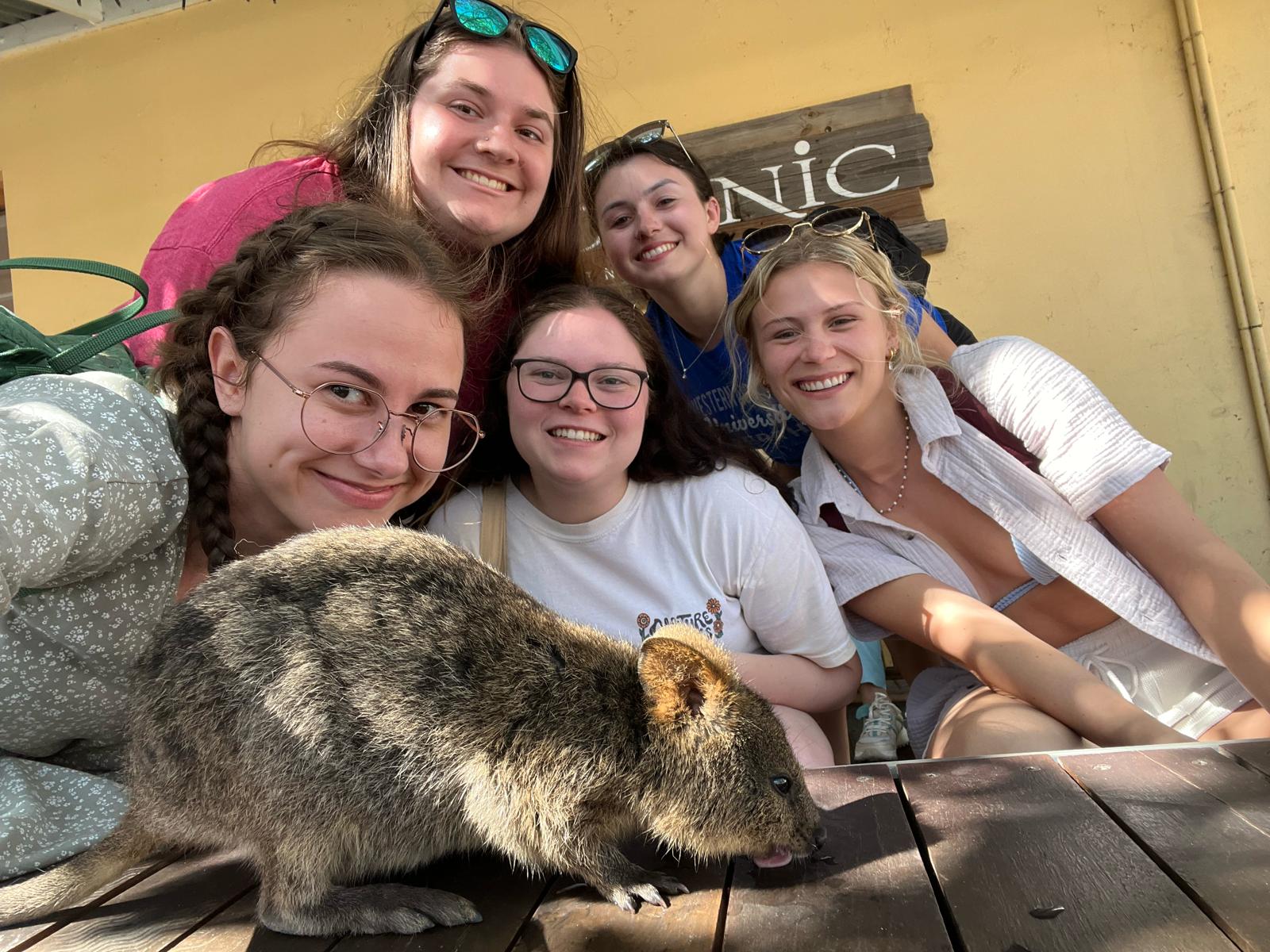 rottnest island with the quokkas
