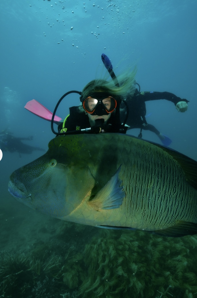 scuba diving with wally the fish in the great barrier reef