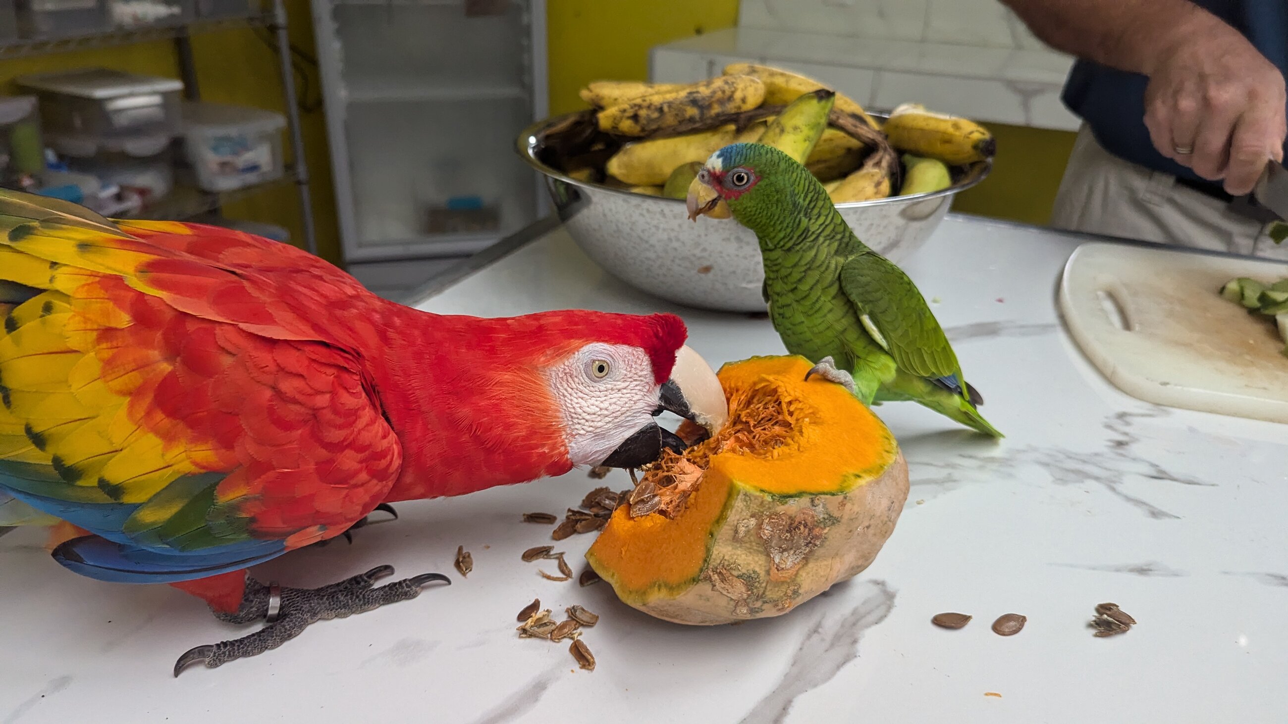 Two visitors during our food preparation