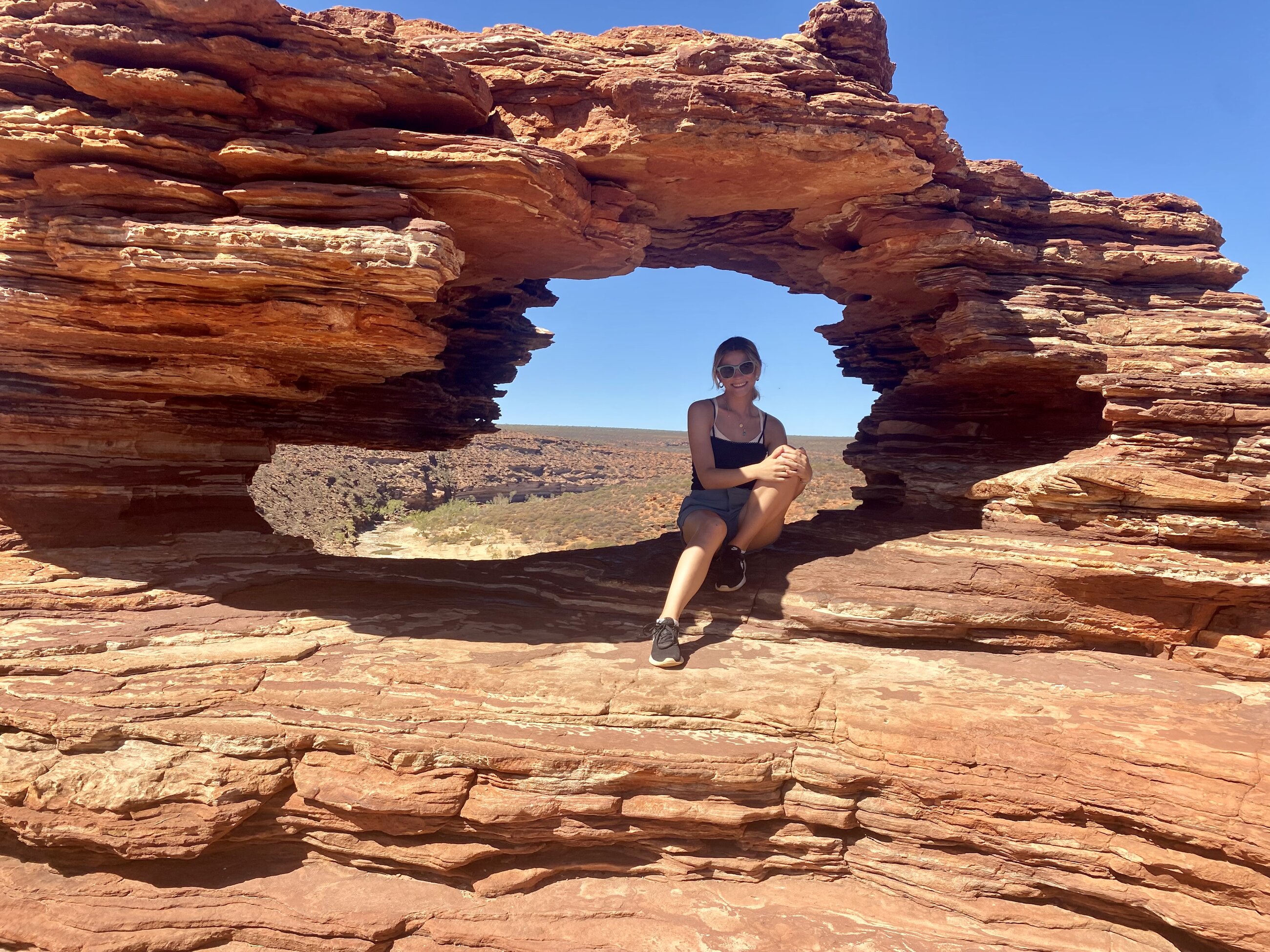 nature's window