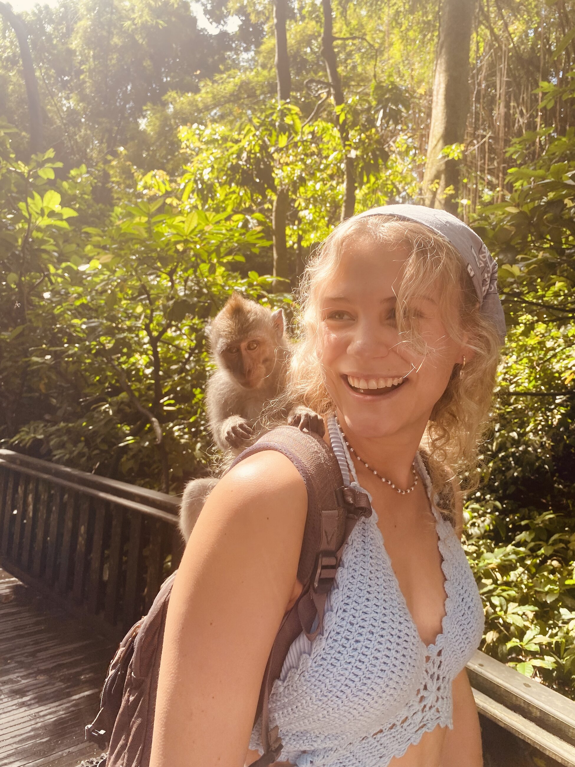 monkey forest in bali
